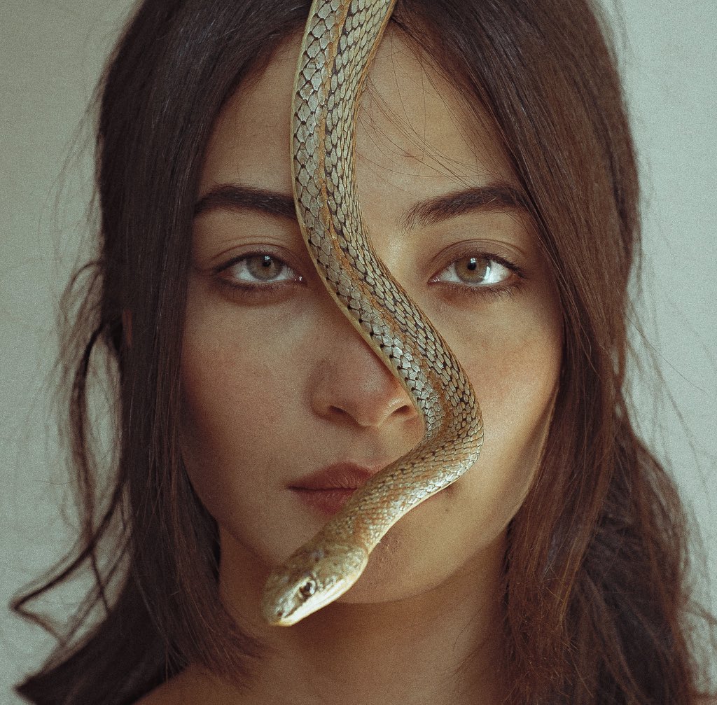 Sherouk Farid