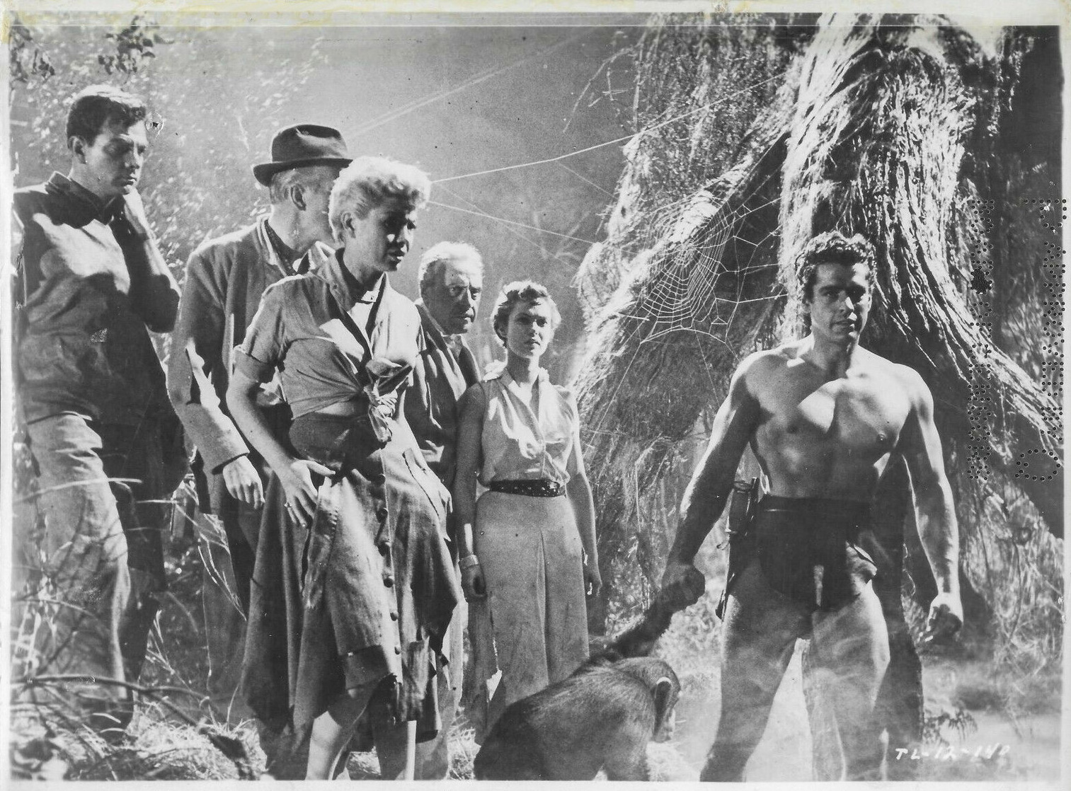 Tarzan and the Lost Safari