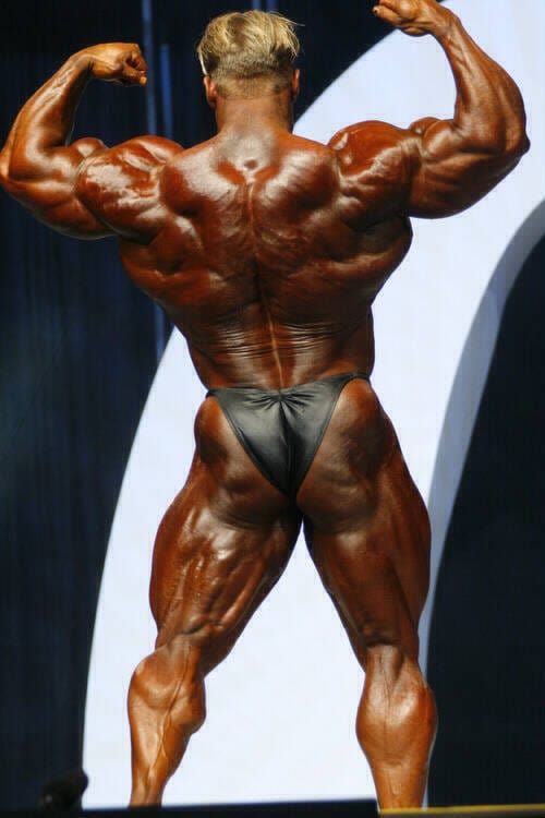 Dennis Wolf Jay Cutler