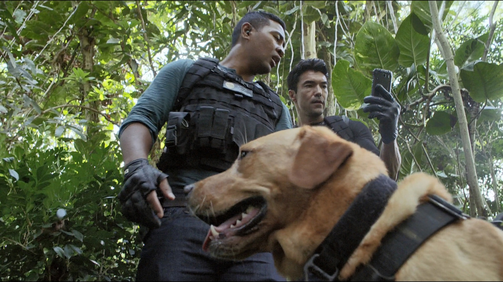 Hawaii Five-0