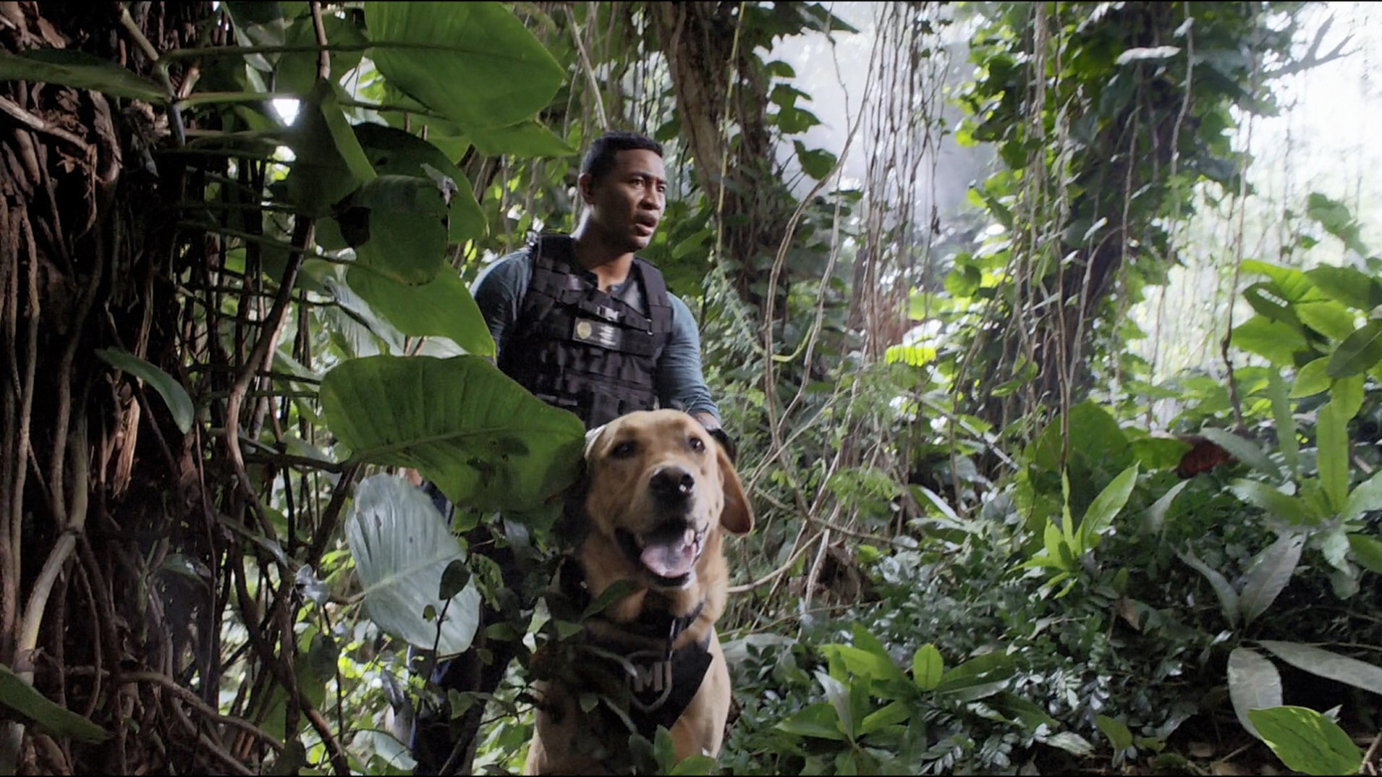 Hawaii Five-0