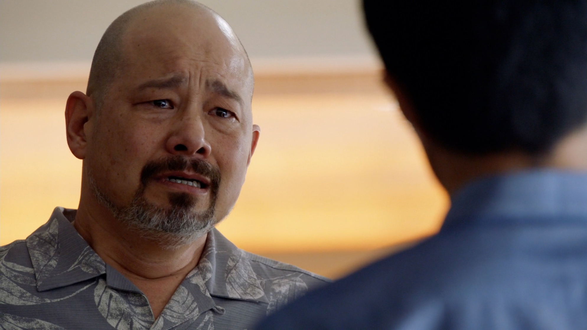 Hawaii Five-0