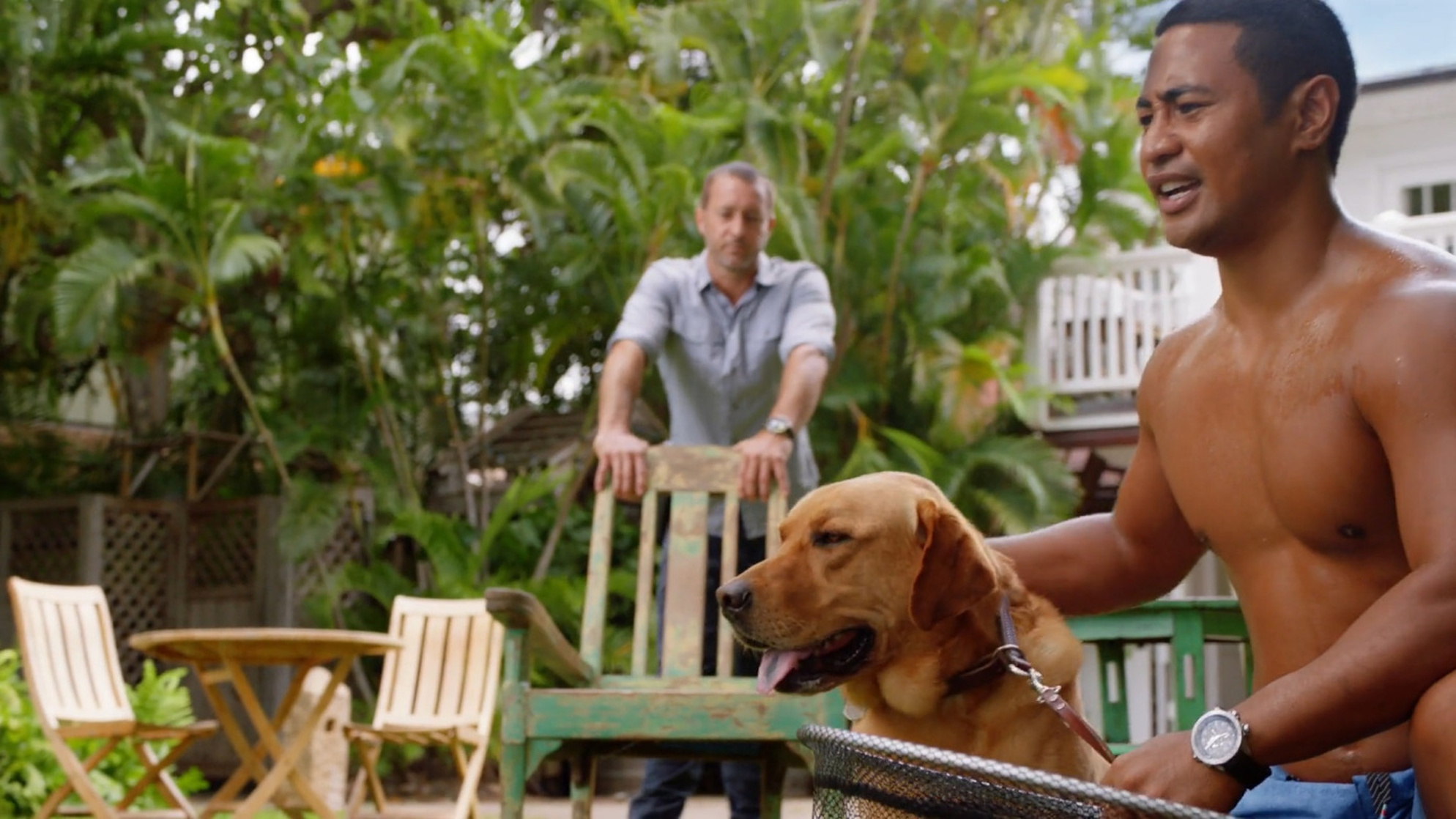 Hawaii Five-0