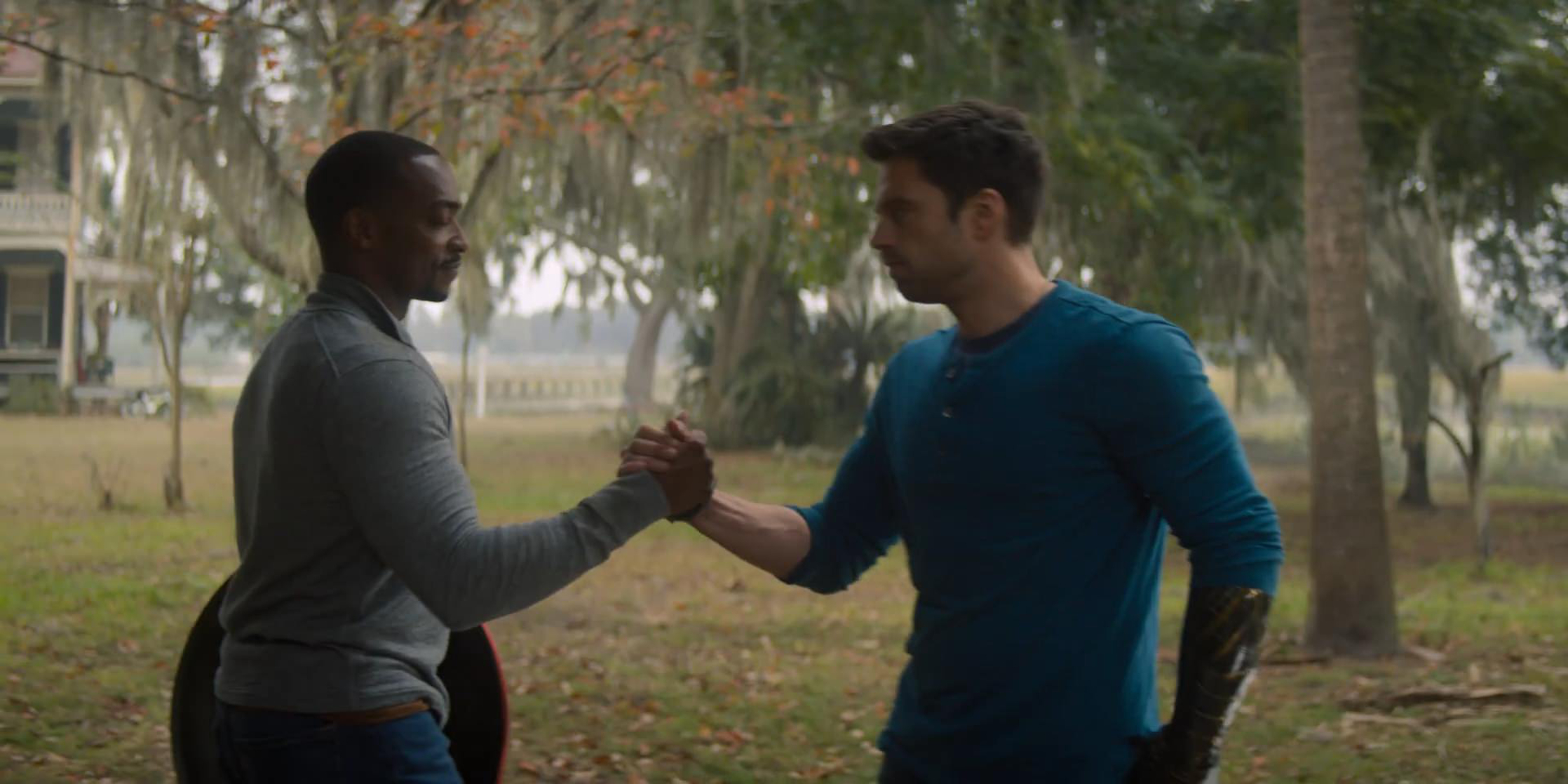 Sam Wilson / Falcon / Captain America (Anthony Mackie)