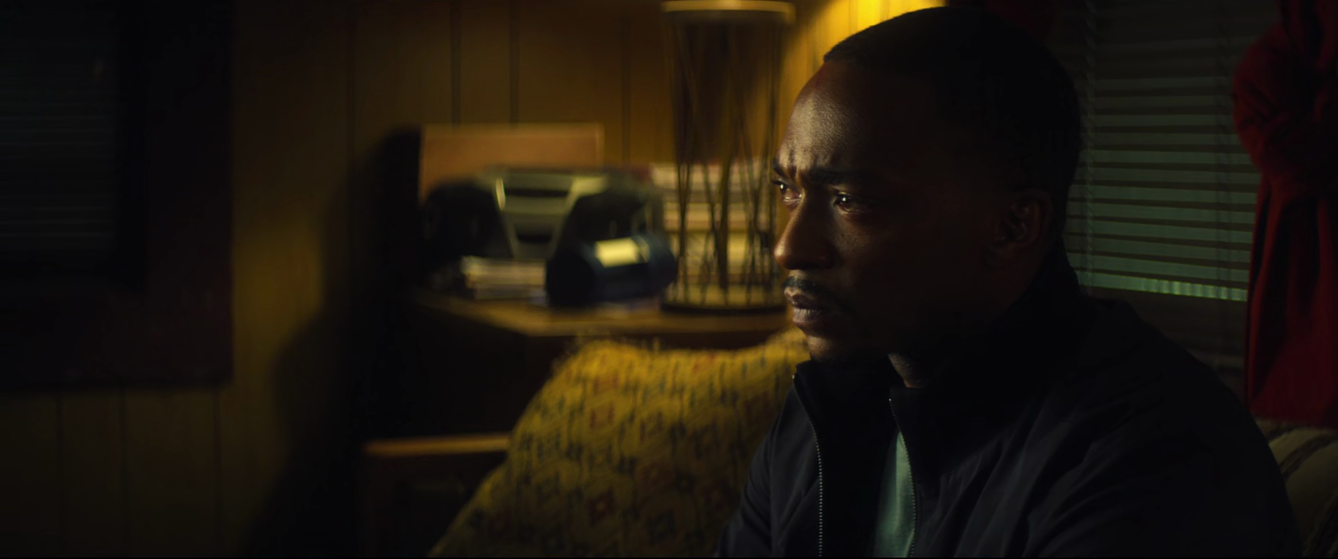 Sam Wilson / Falcon / Captain America (Anthony Mackie)