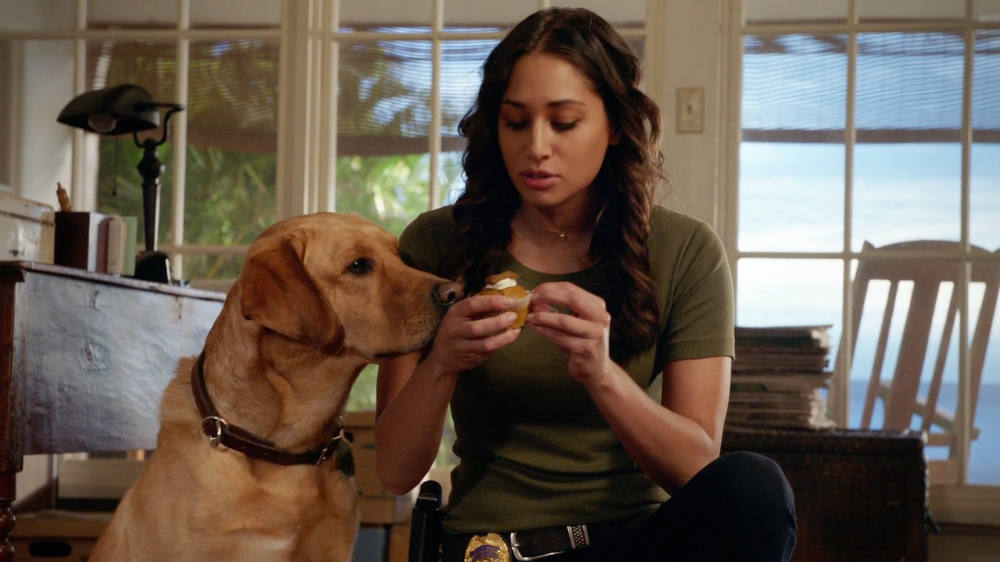 Hawaii Five-0