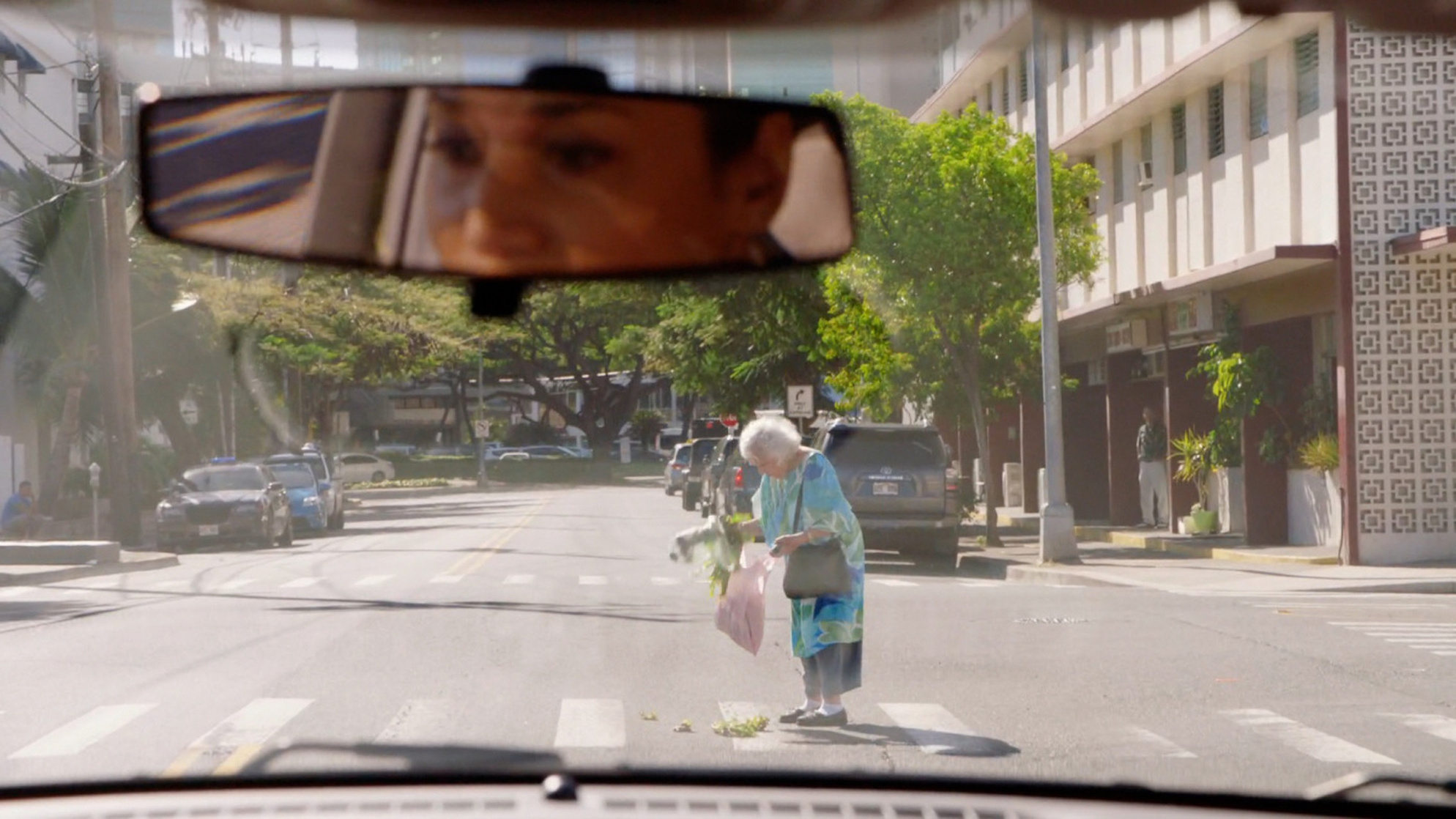 Hawaii Five-0