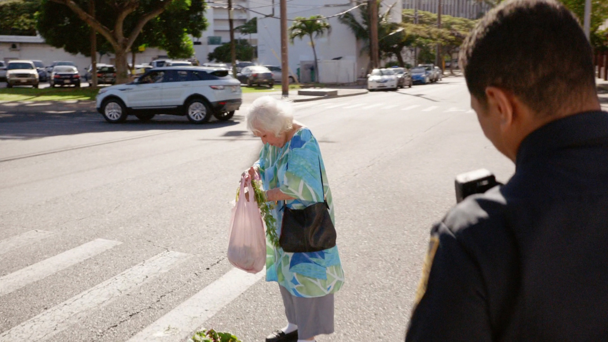 Hawaii Five-0