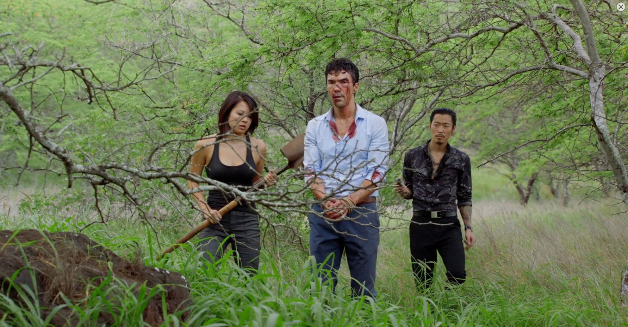Hawaii Five-0