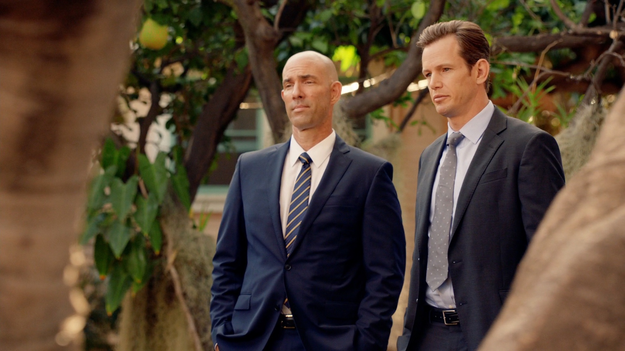 Hawaii Five-0