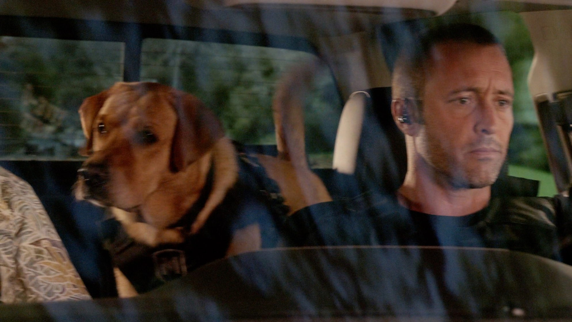 Hawaii Five-0