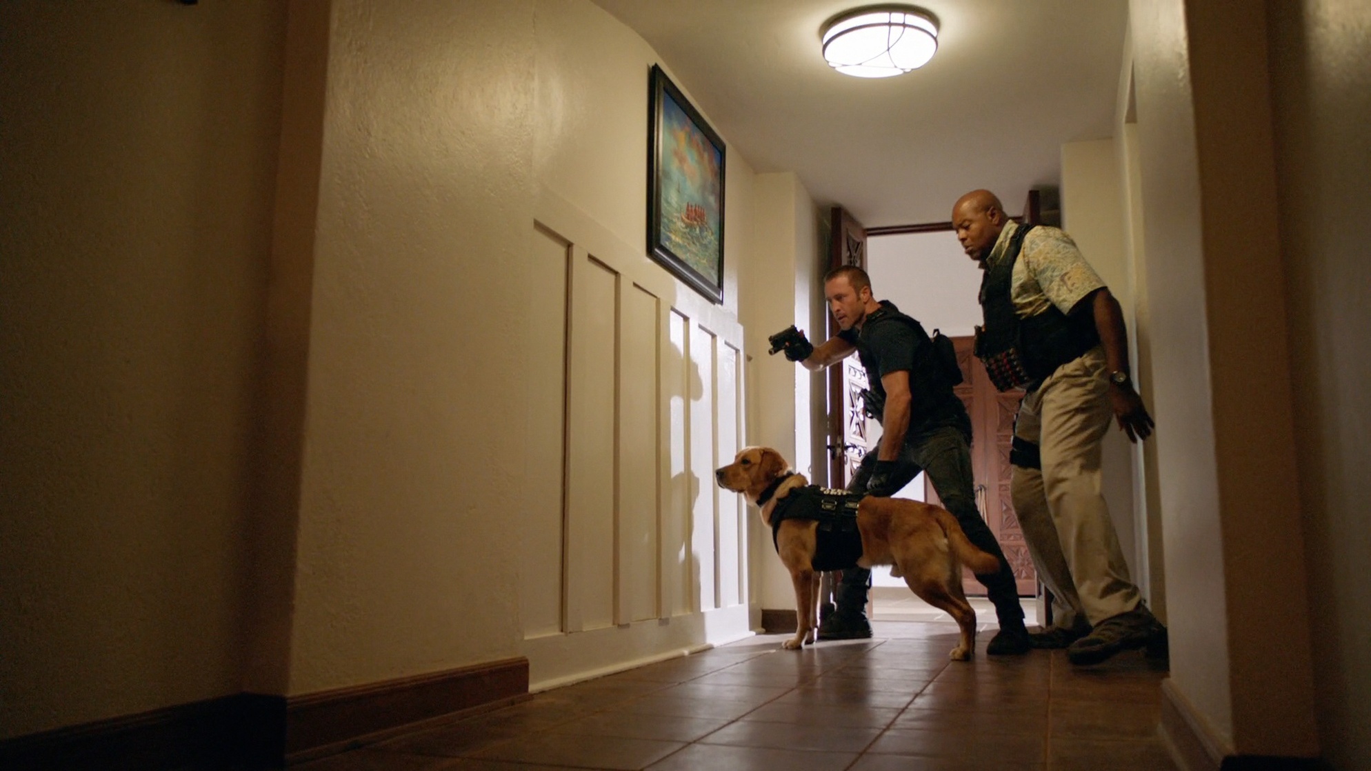 Hawaii Five-0