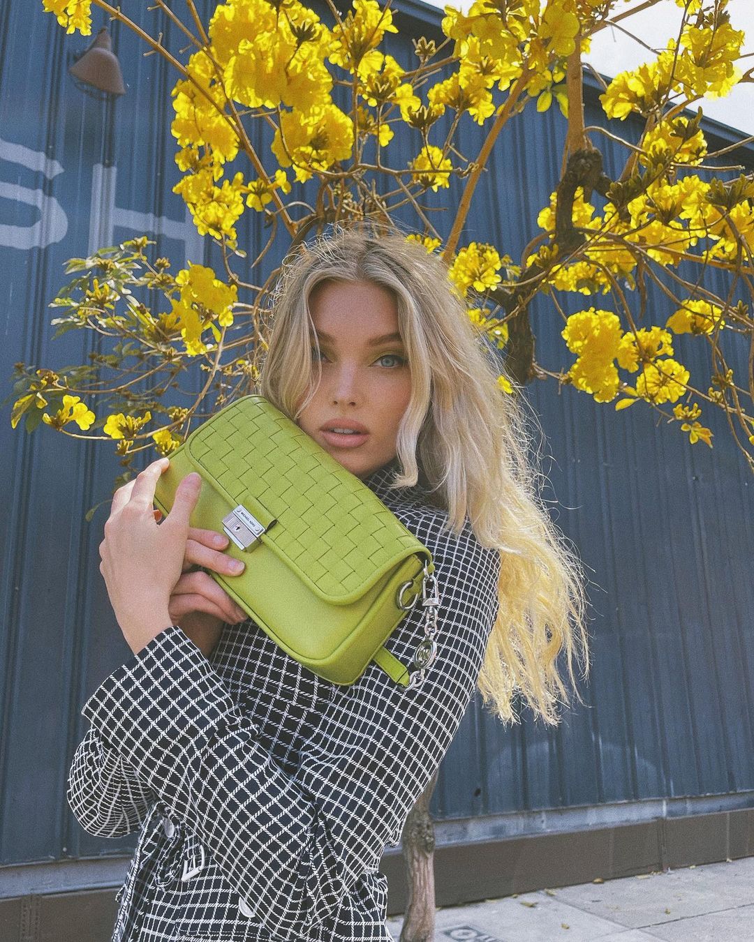 Picture of Elsa Hosk