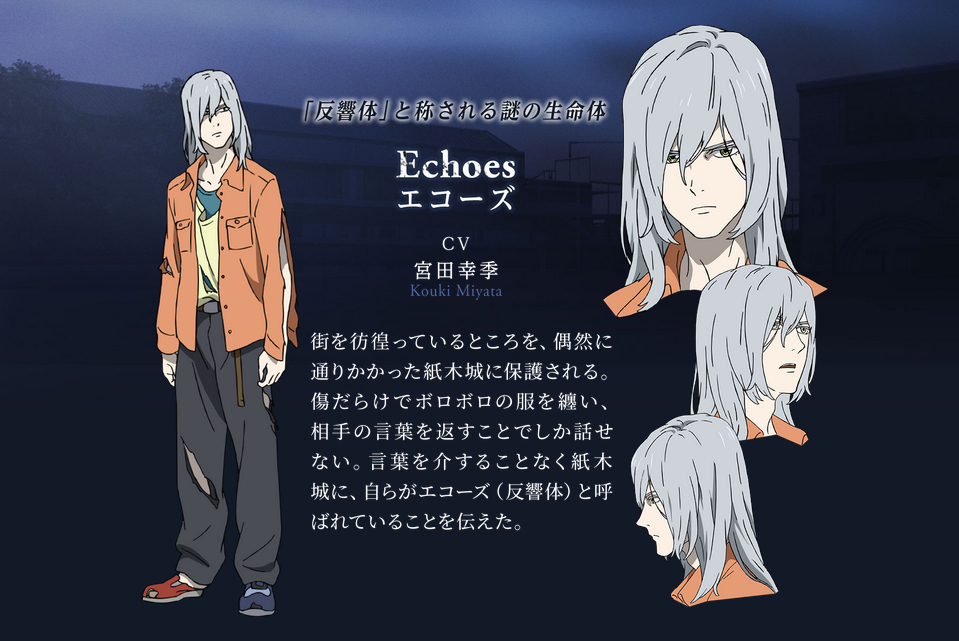 Echoes