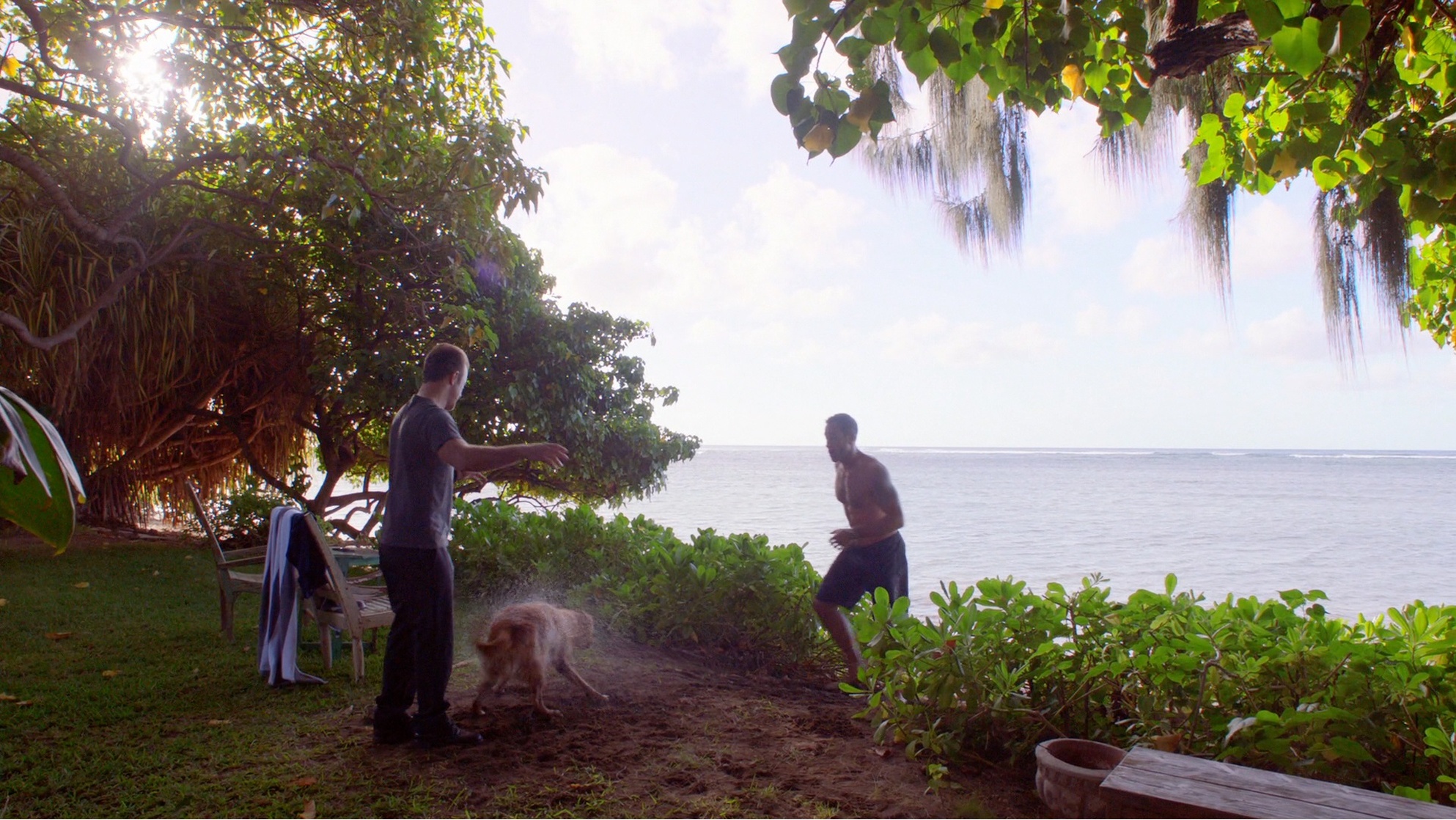 Hawaii Five-0