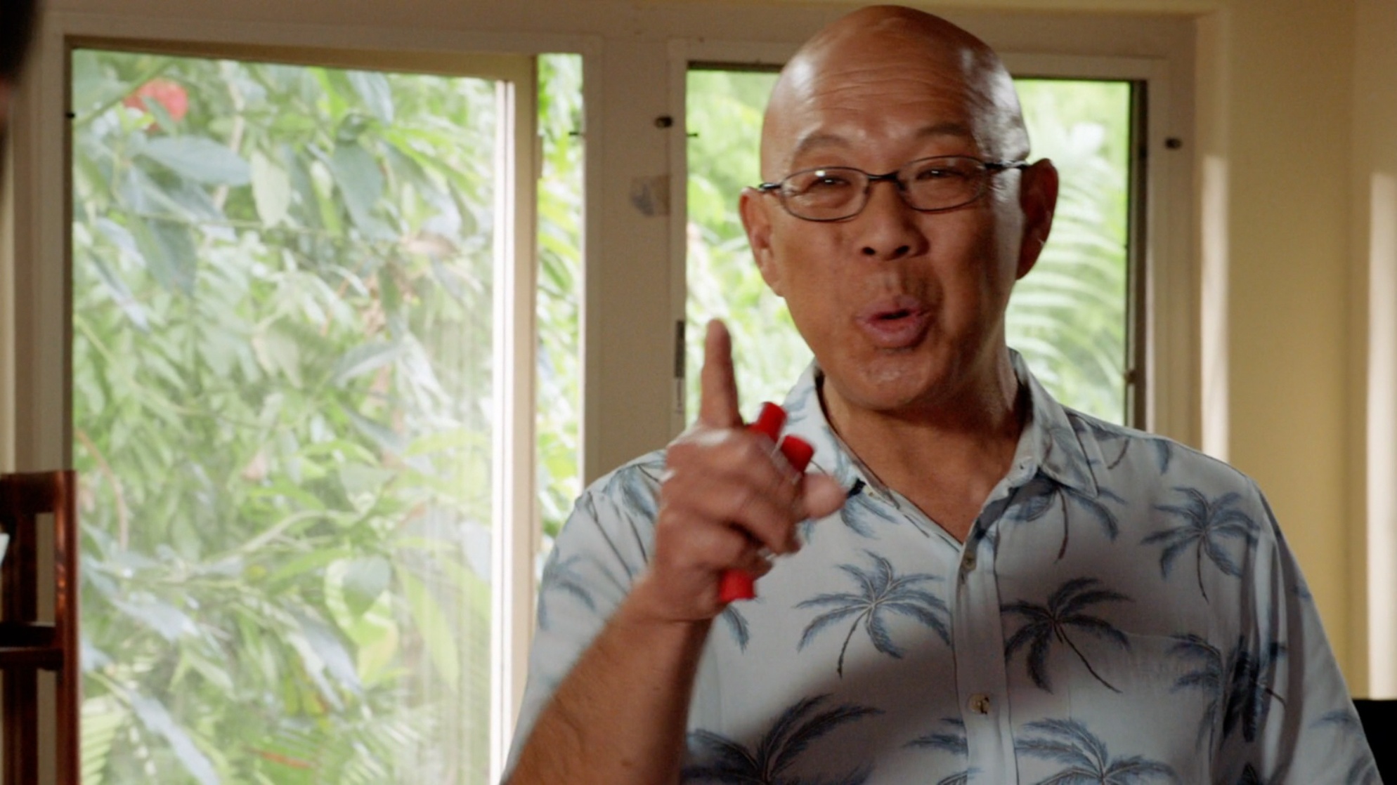Hawaii Five-0