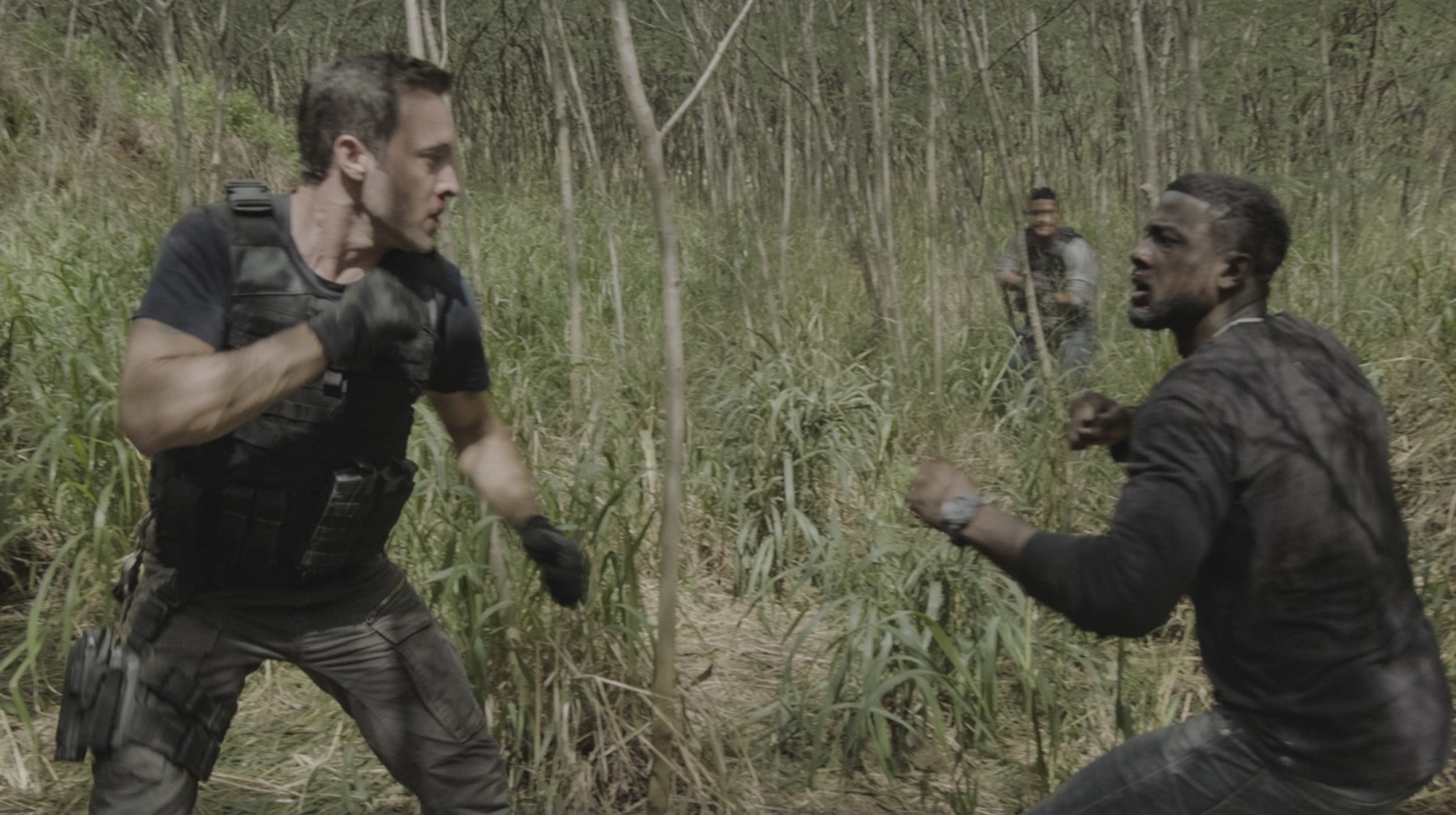 Hawaii Five-0