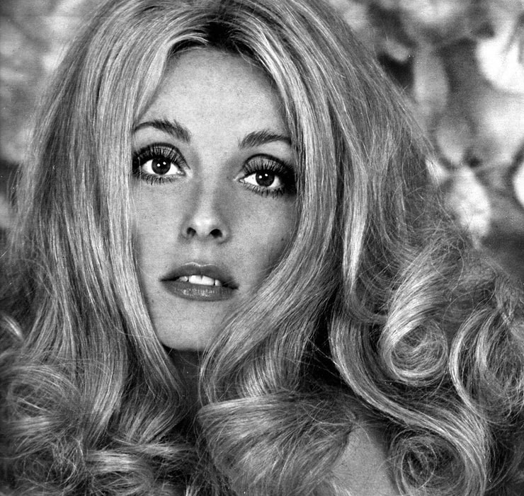 Picture Of Sharon Tate