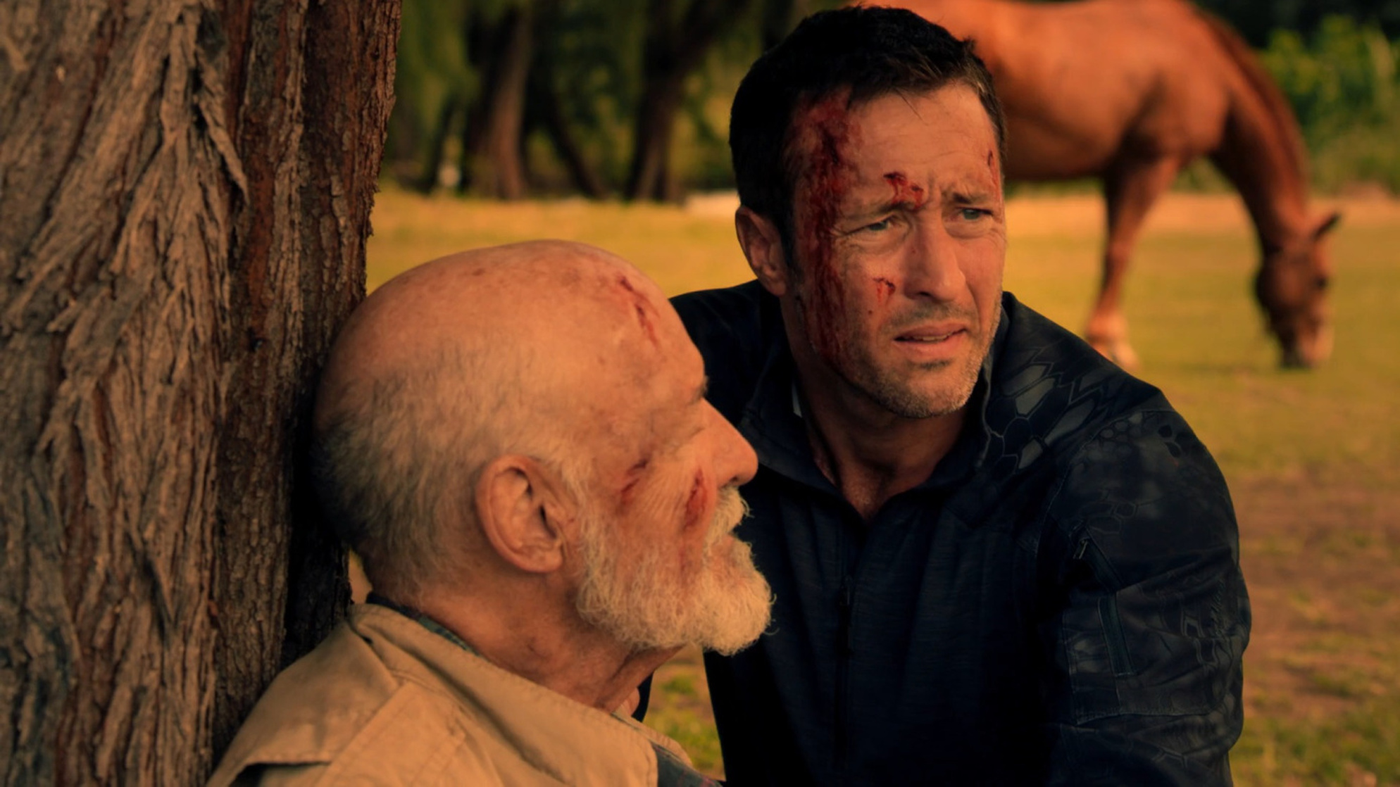 Hawaii Five-0