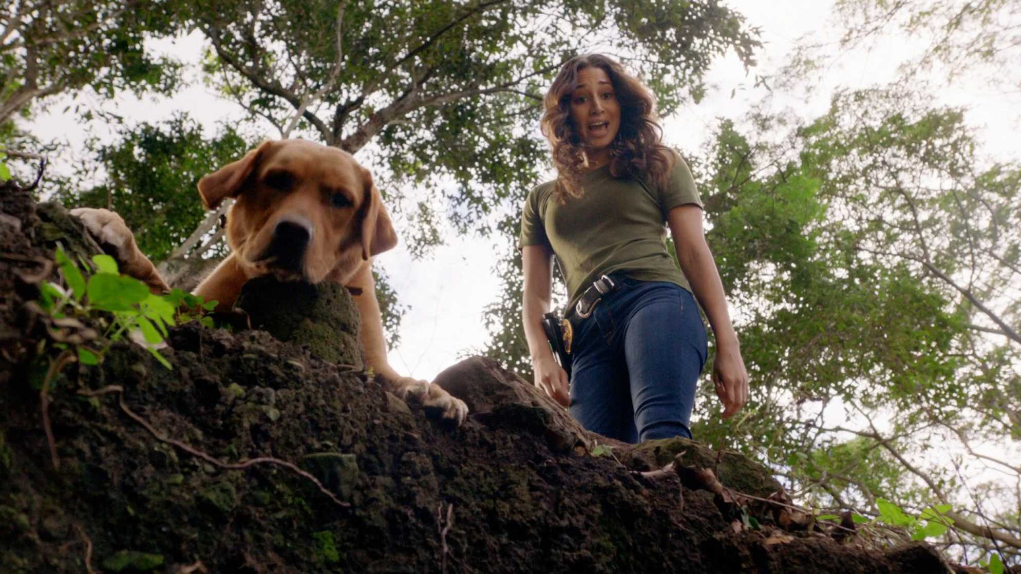 Hawaii Five-0