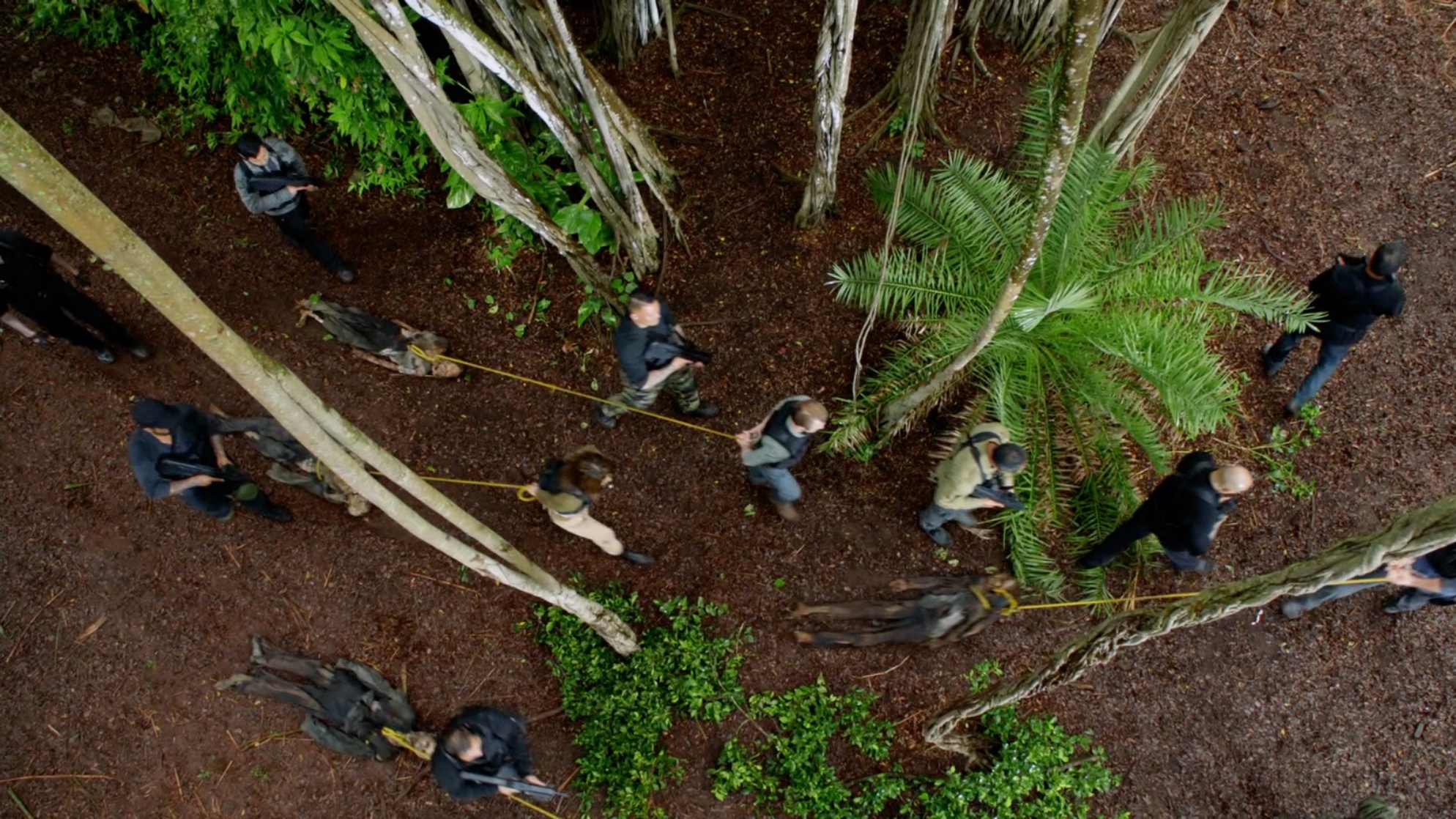 Hawaii Five-0