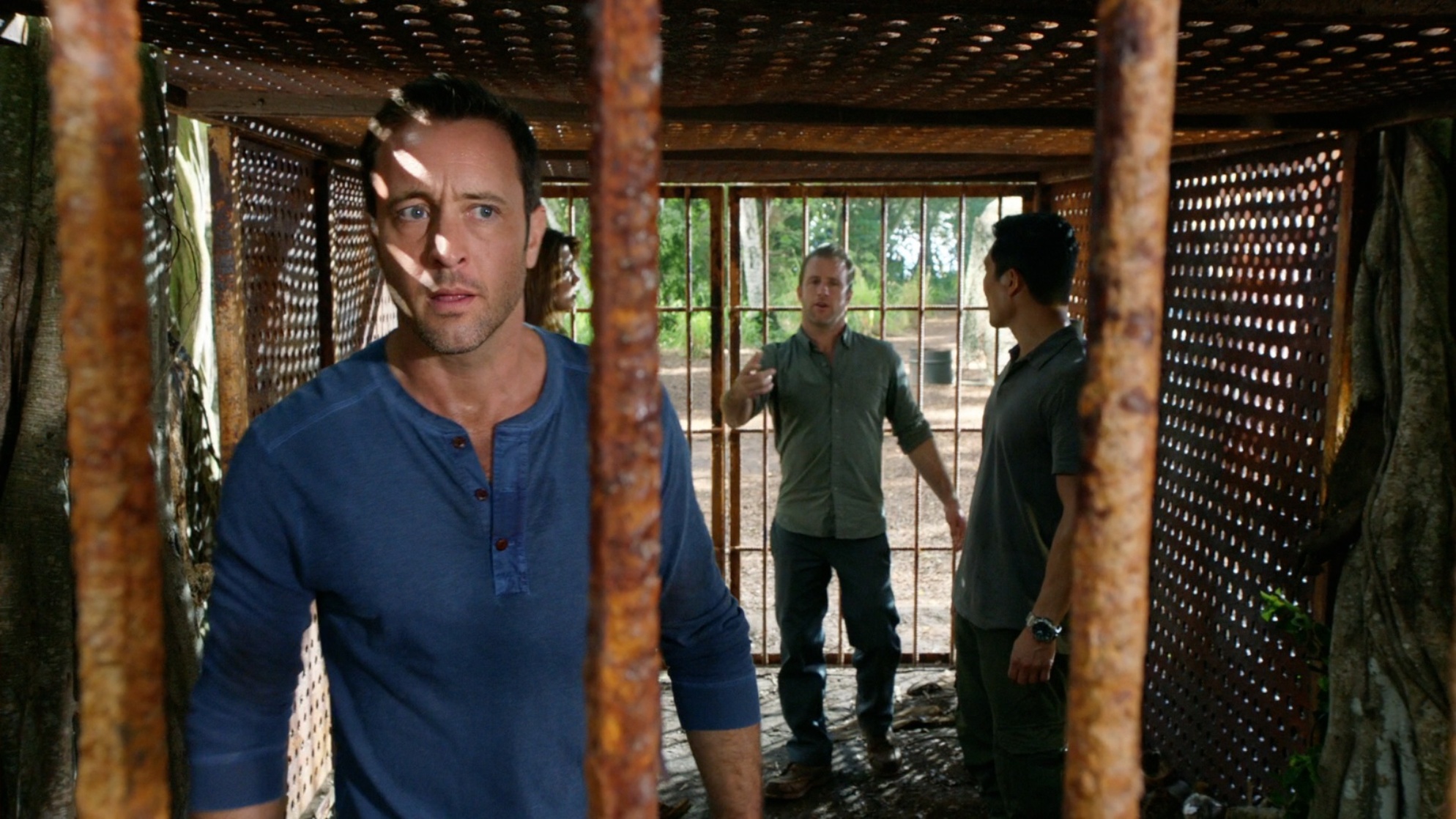 Hawaii Five-0
