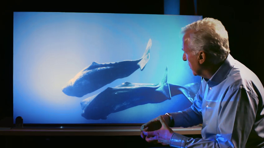 Secrets of the Whales Secrets of the Whales