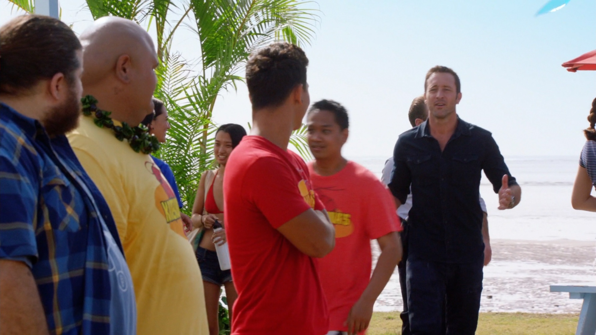 Hawaii Five-0