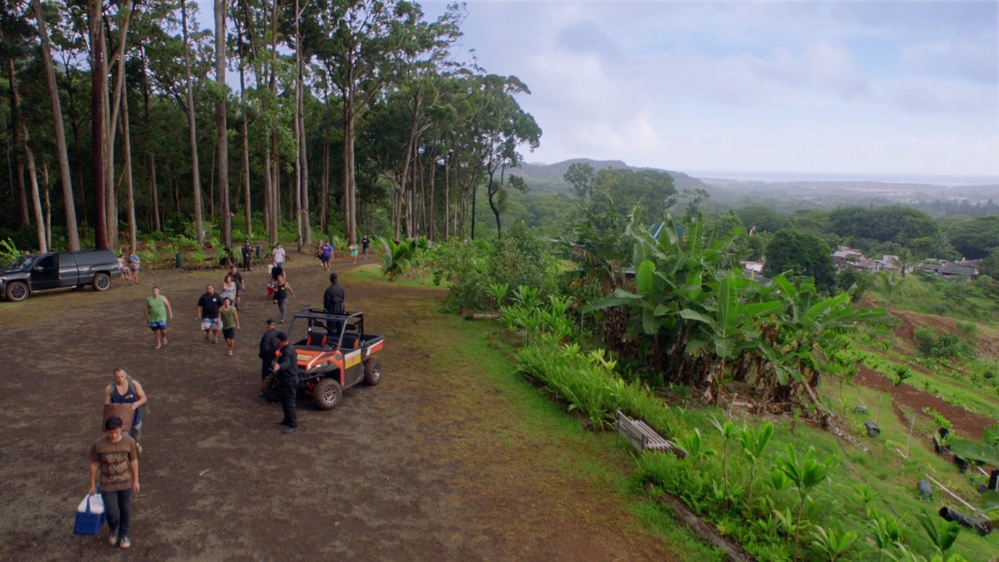 Hawaii Five-0