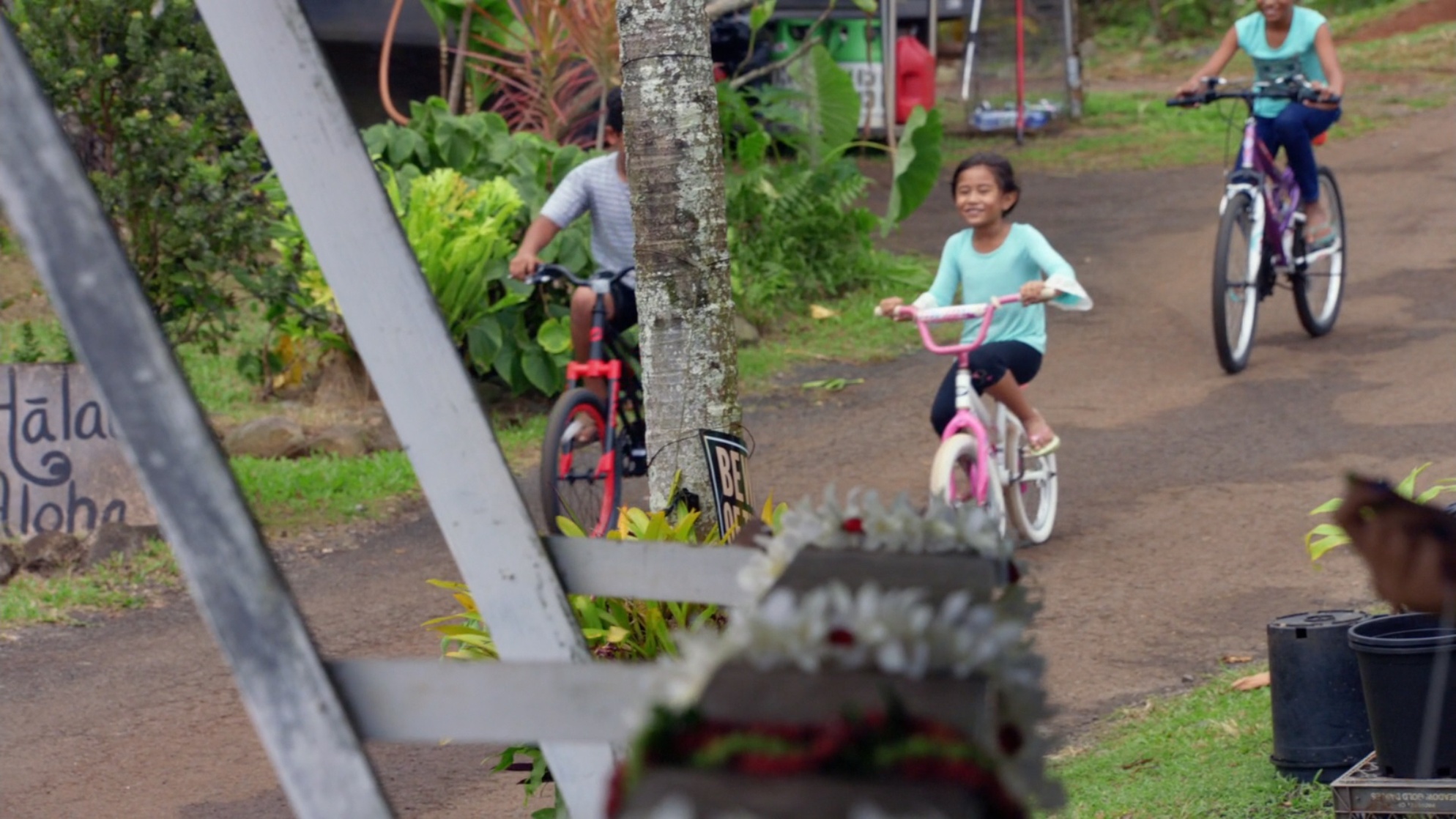 Hawaii Five-0
