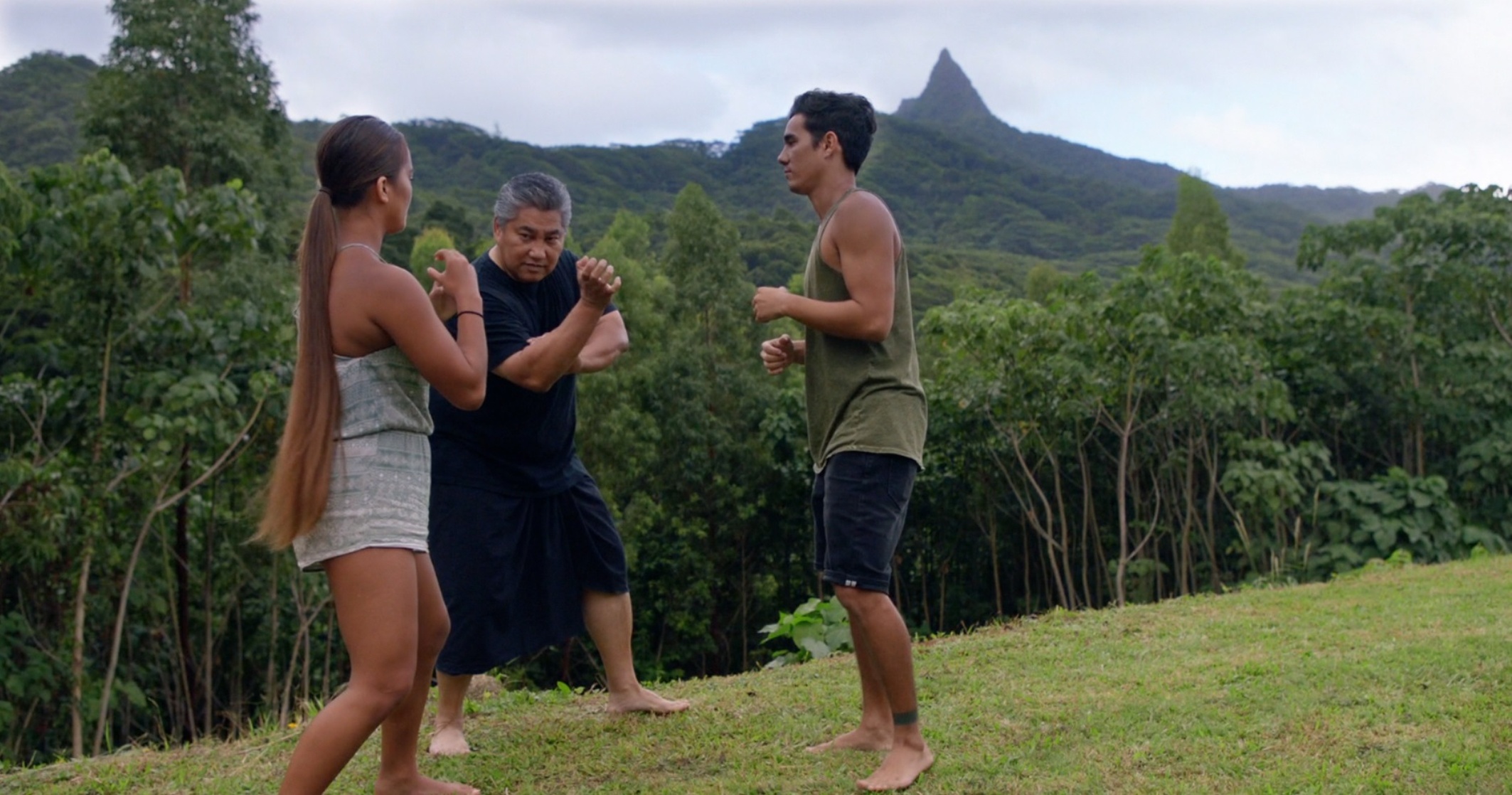 Hawaii Five-0