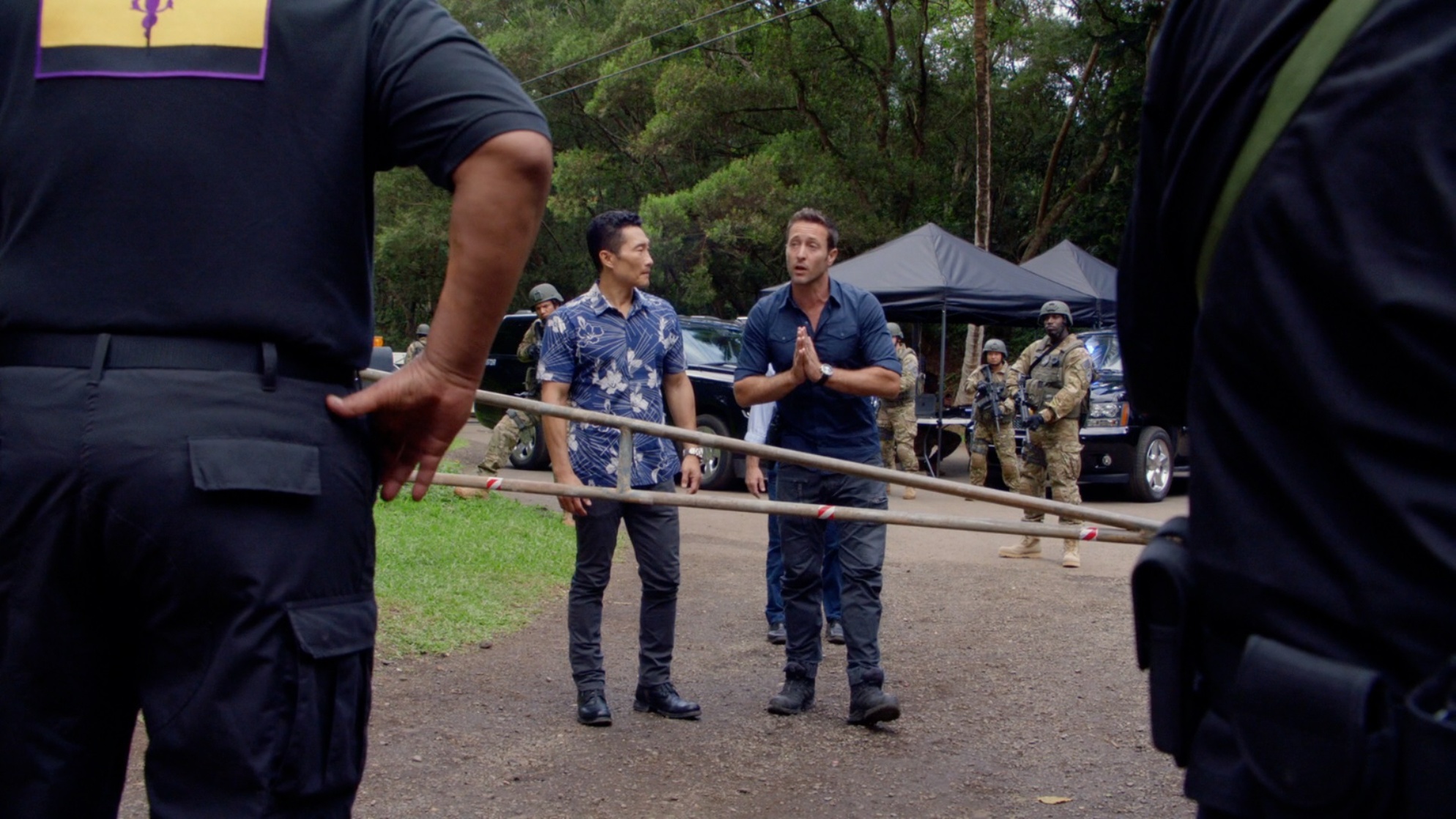 Hawaii Five-0