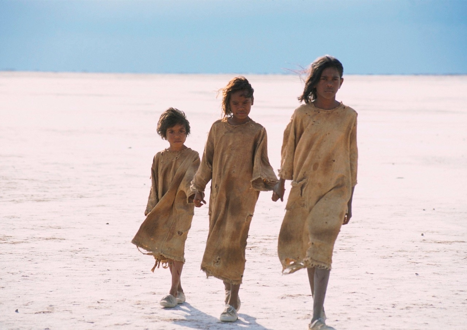 Picture of RabbitProof Fence