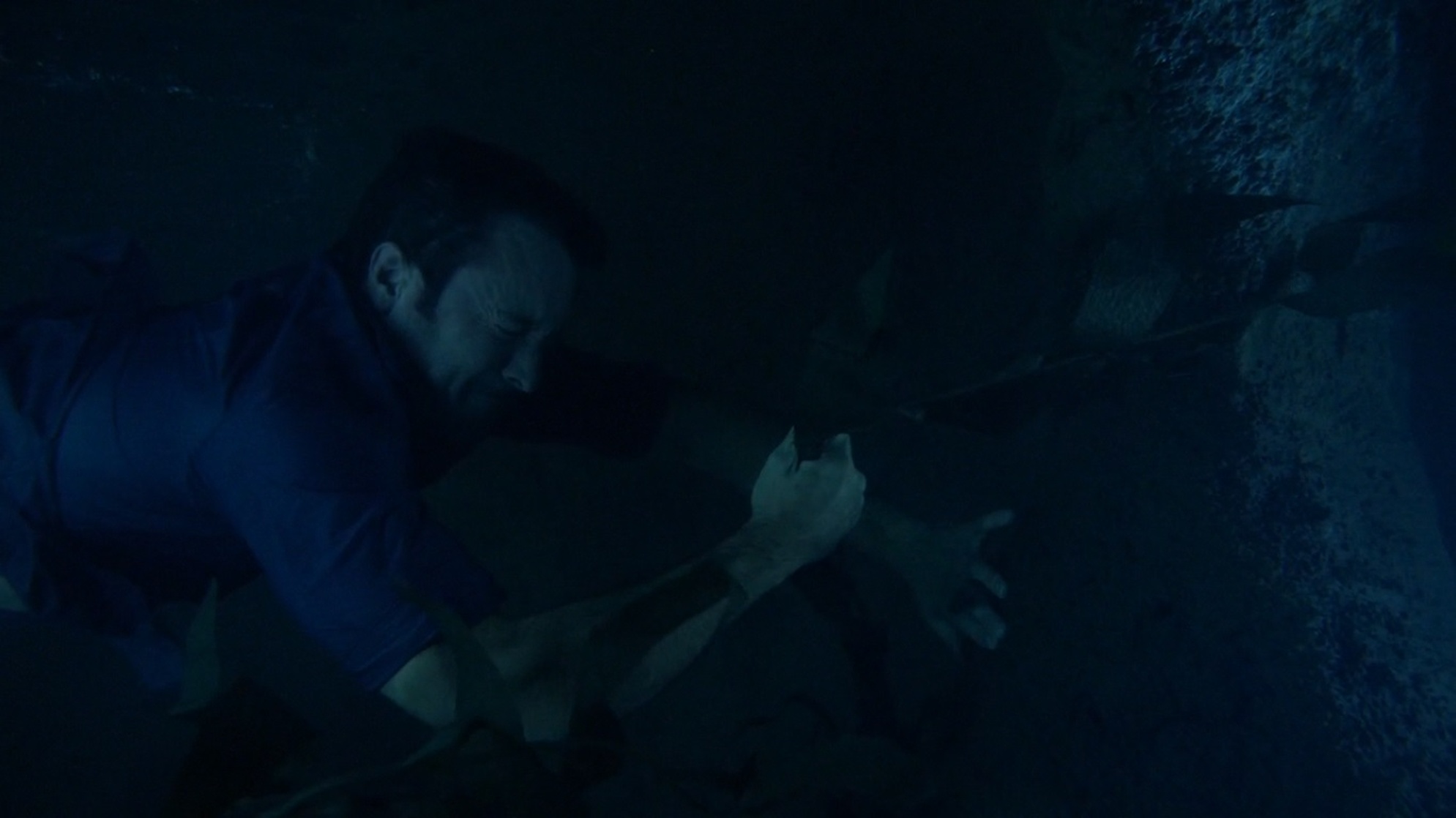 Hawaii Five-0