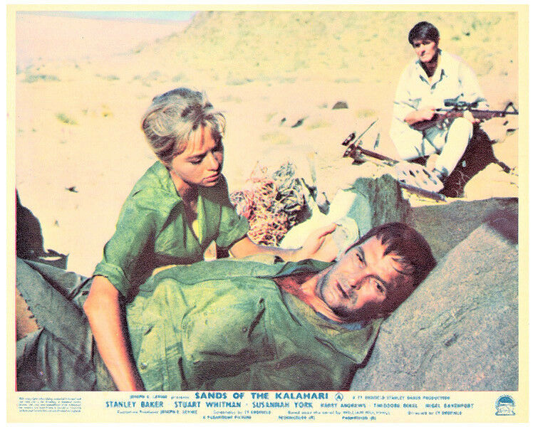 Sands of the Kalahari