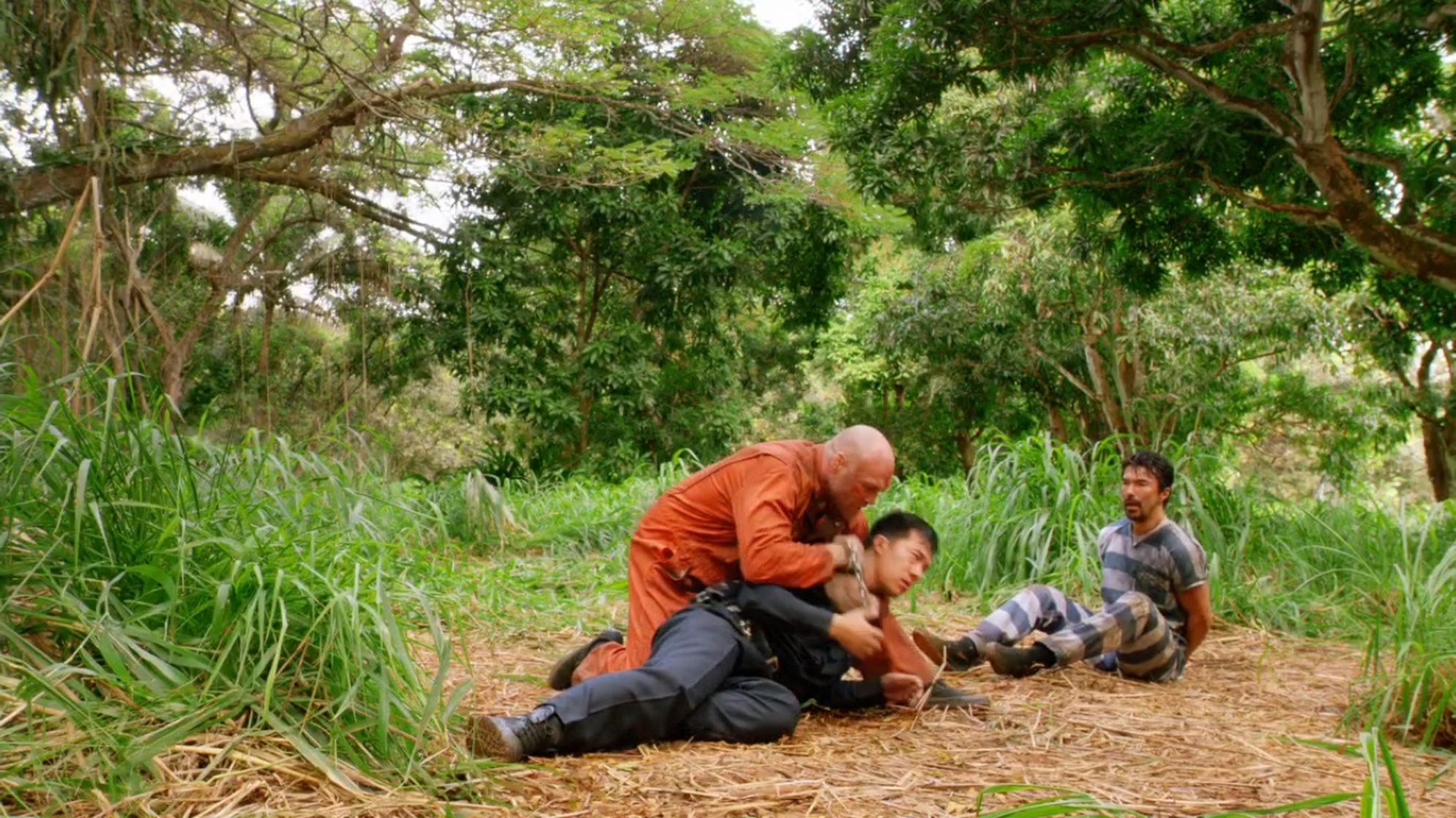 Hawaii Five-0