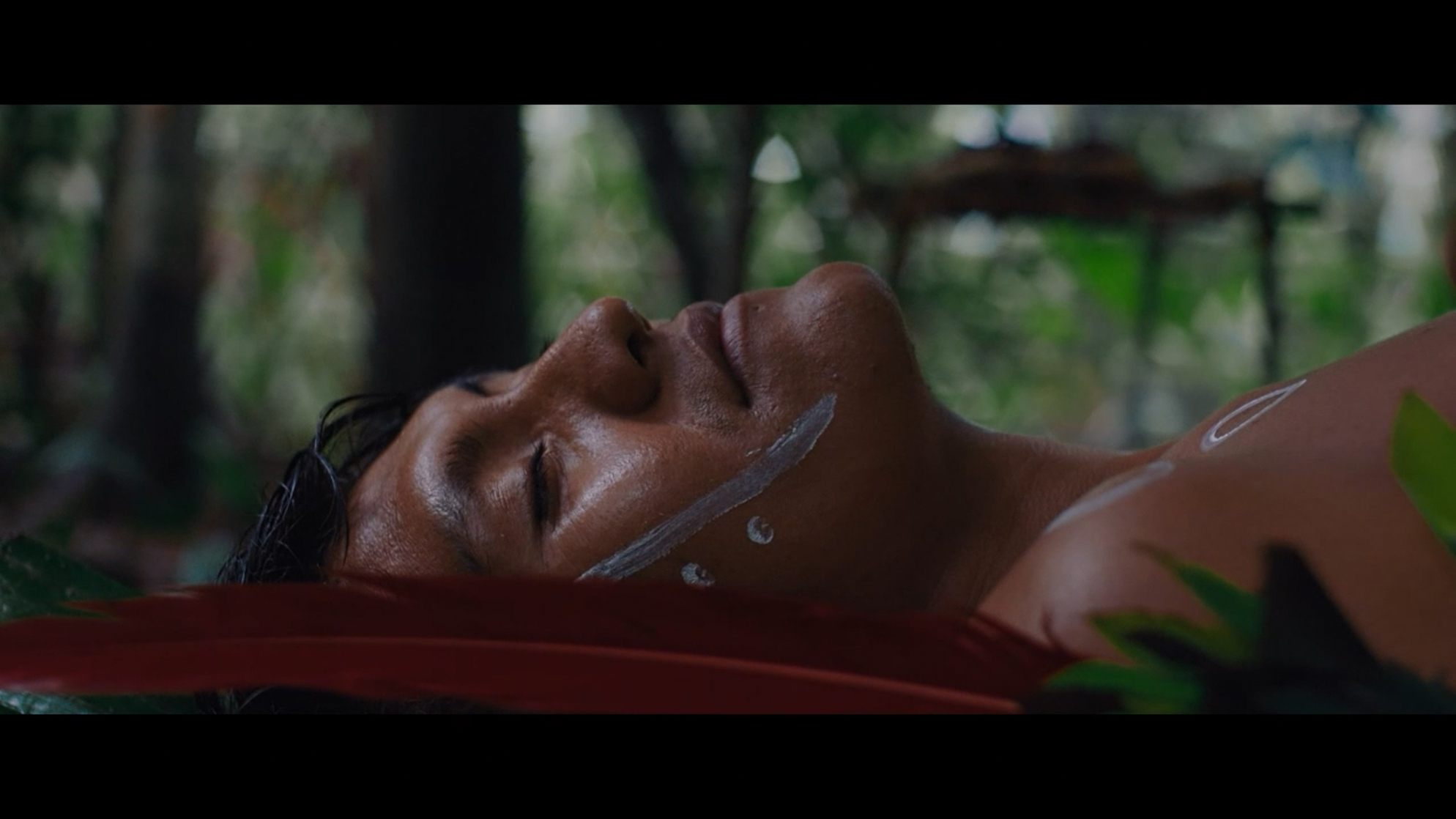 The Last Forest