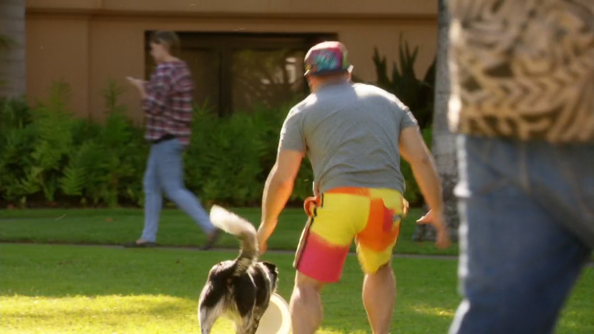Hawaii Five-0