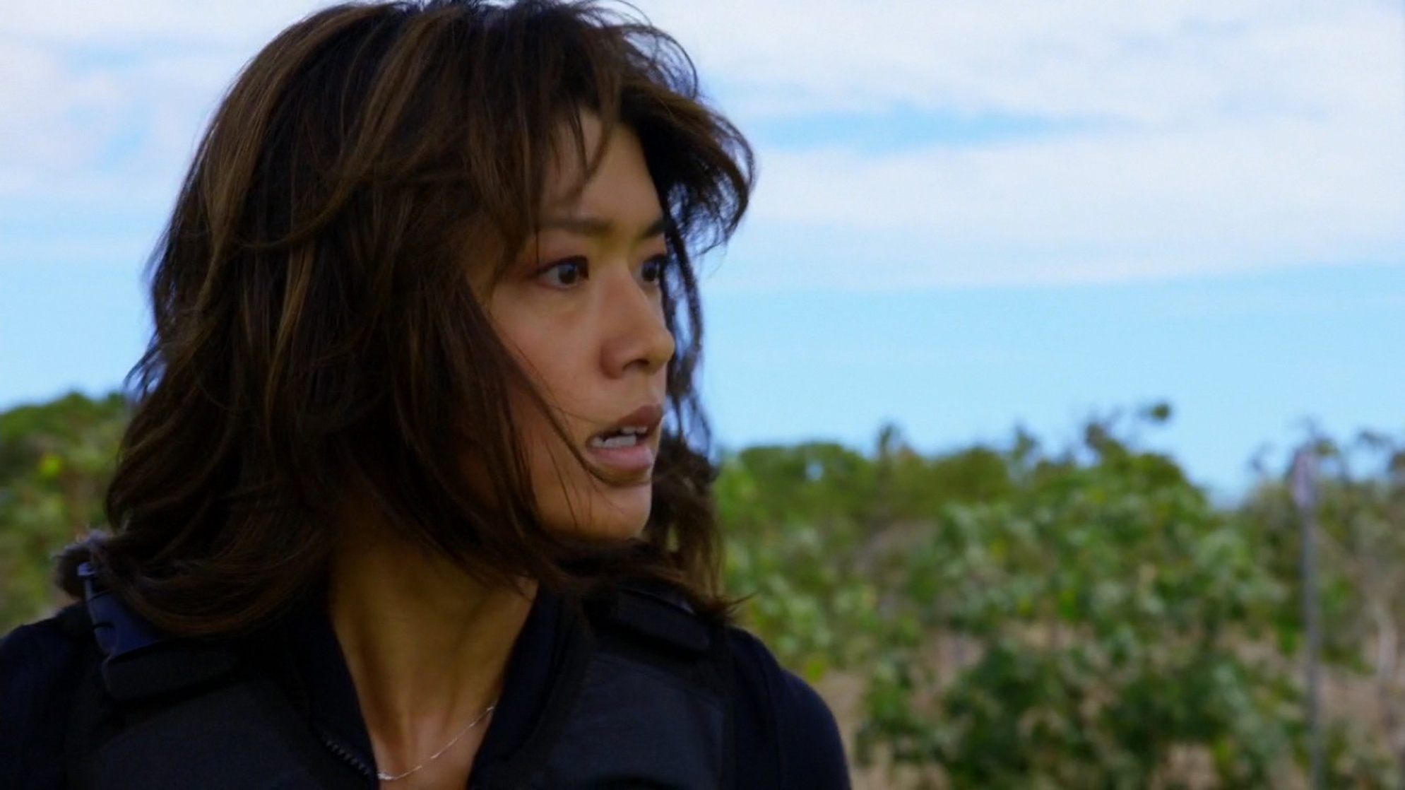 Hawaii Five-0