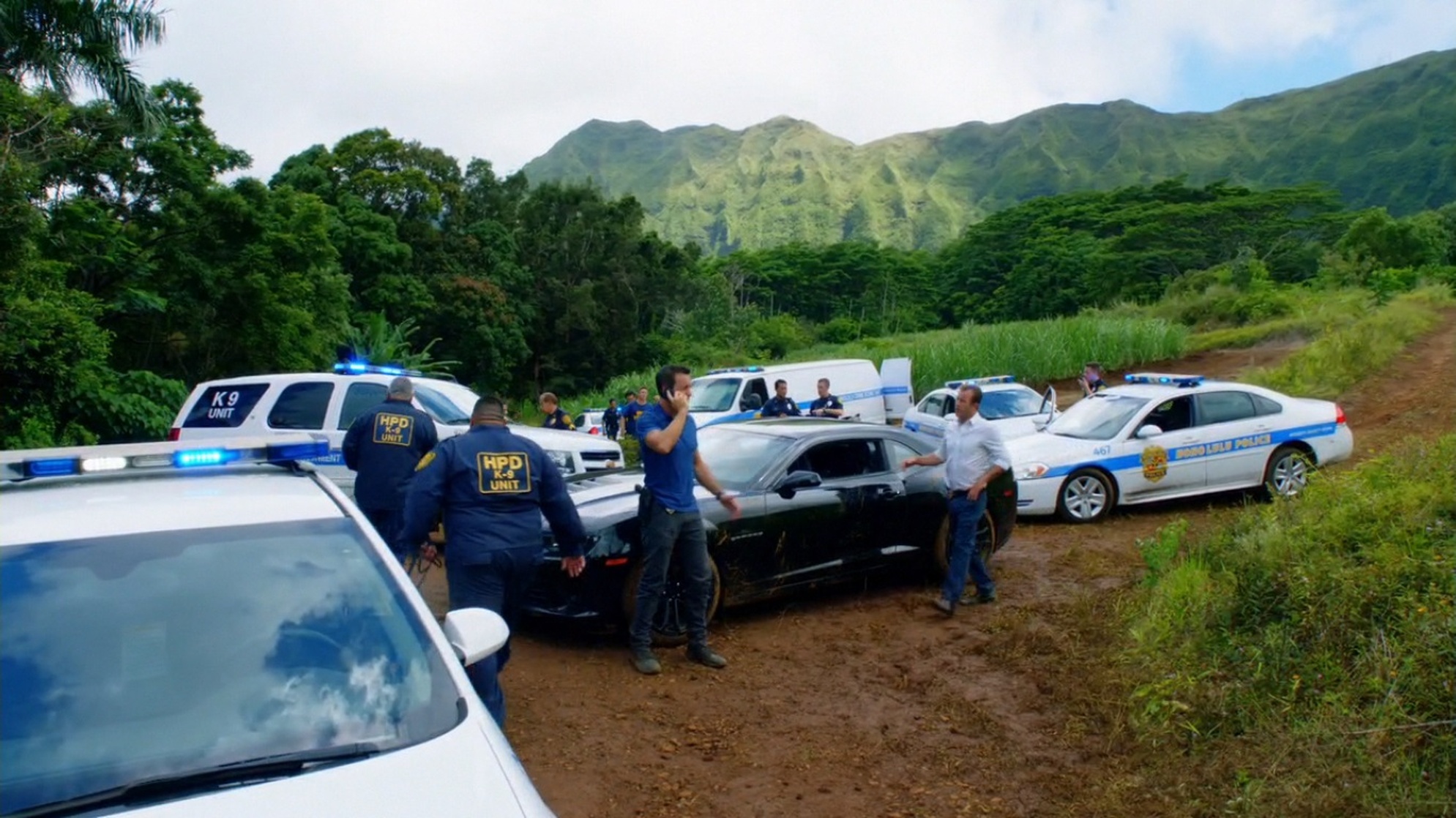 Hawaii Five-0