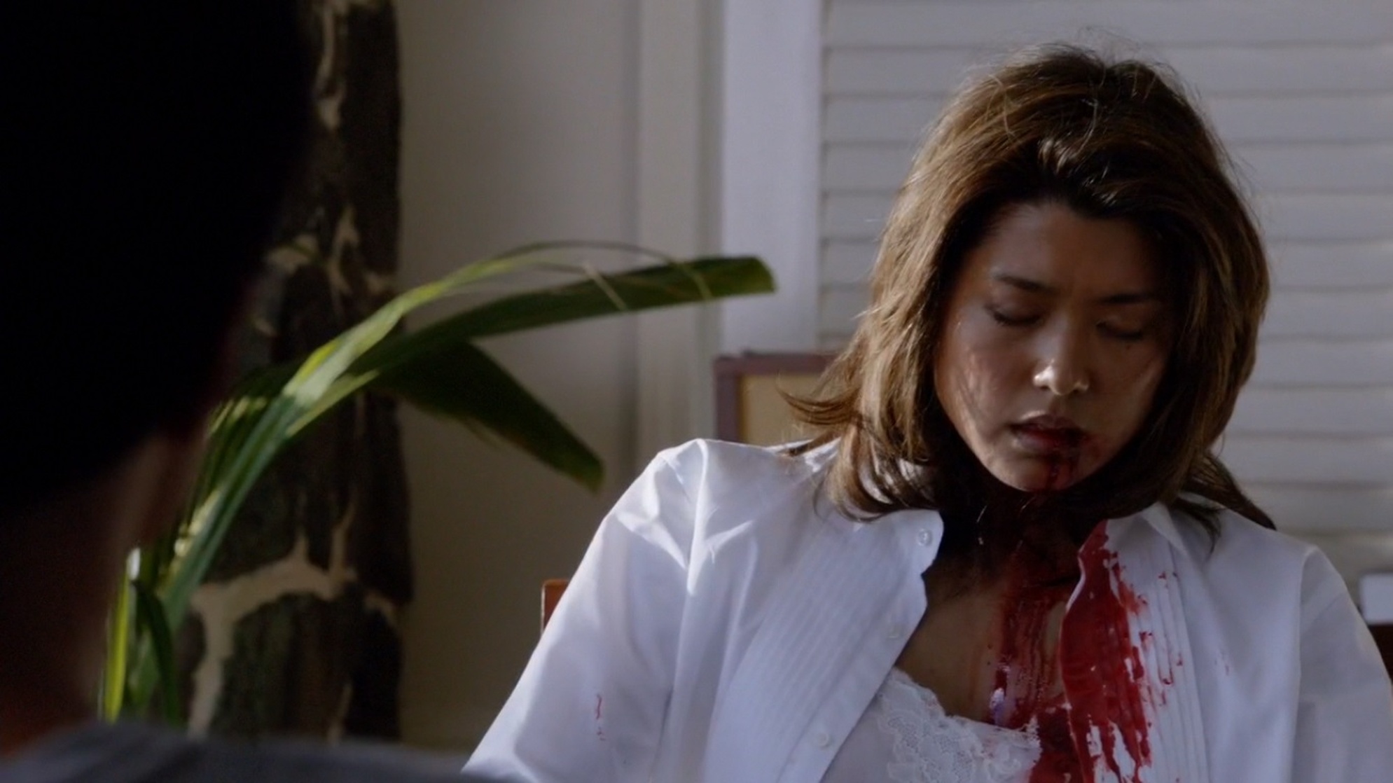 Hawaii Five-0