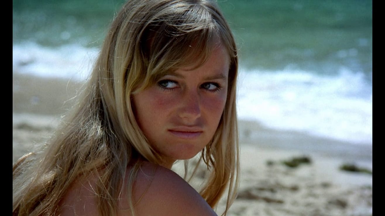 Susan George Picture