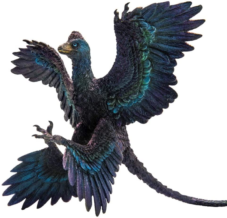 Microraptor PNSO