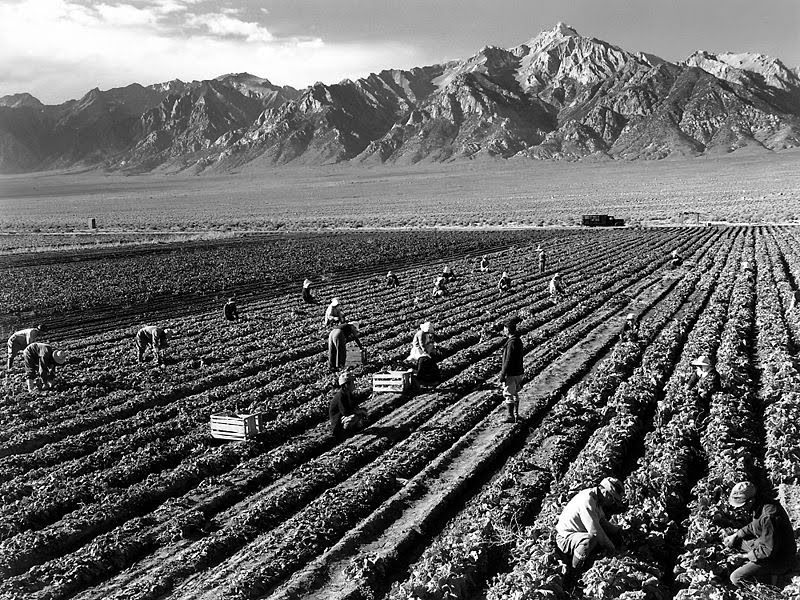 Ansel Adams Ansel Adams