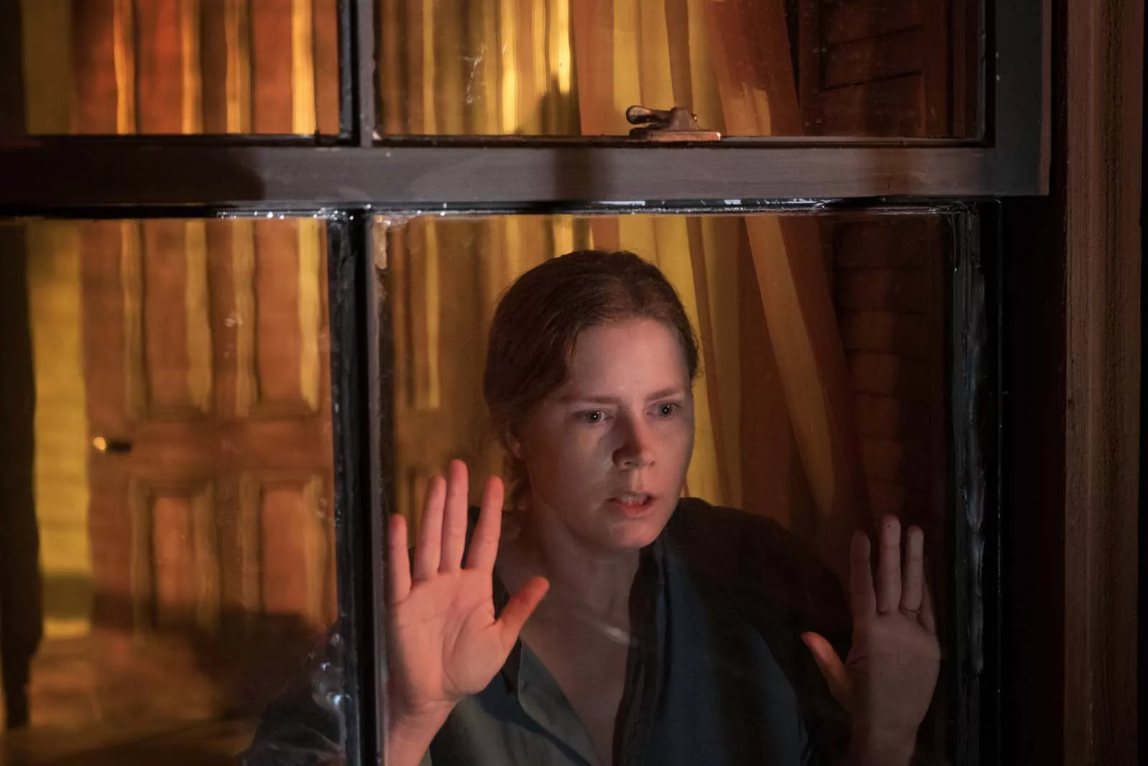 The Woman in the Window