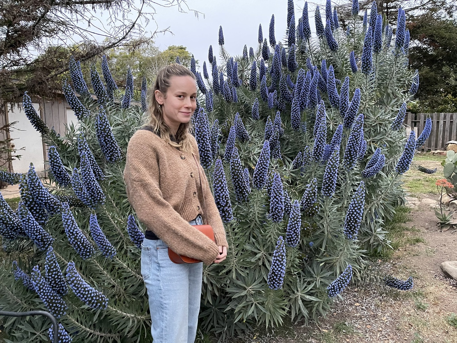 Brie Larson