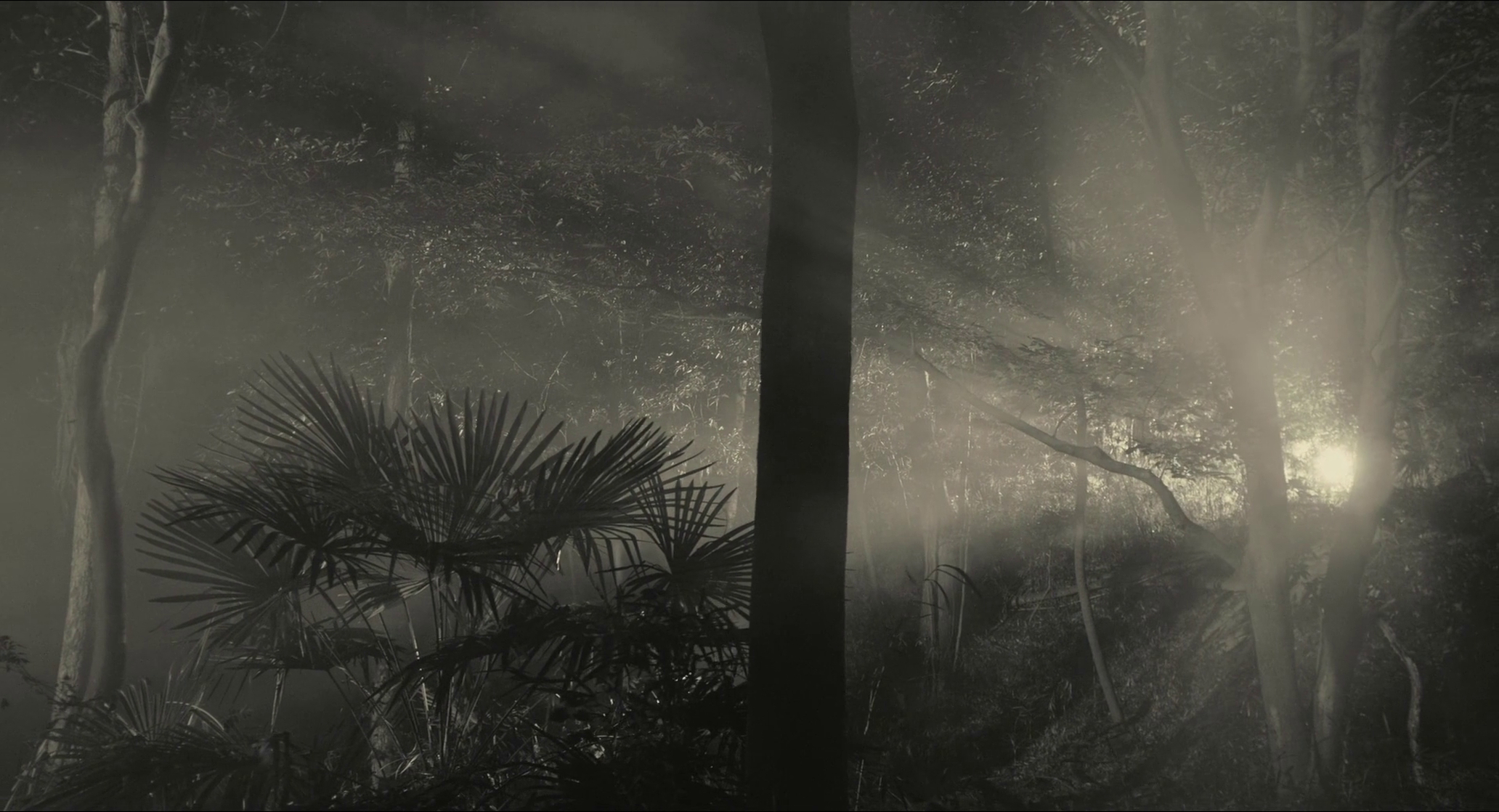 The Whispering Star (2015)