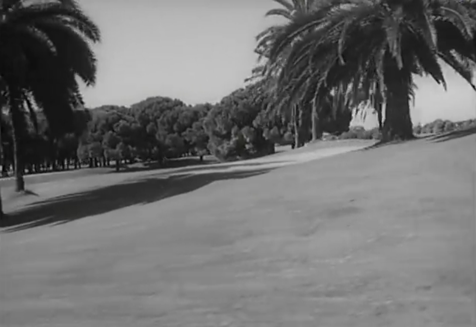 Das Golfspiel