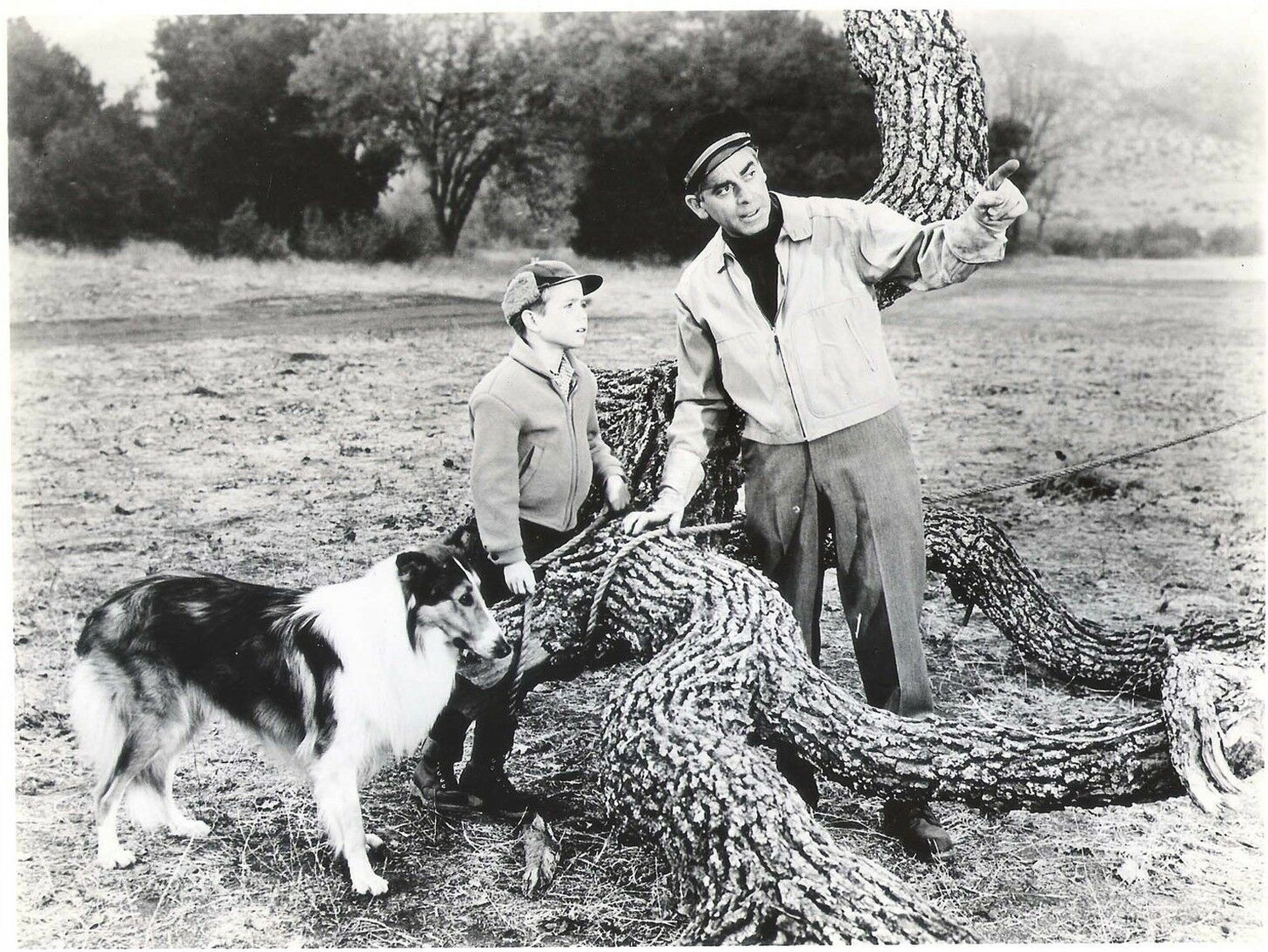 Jon Provost