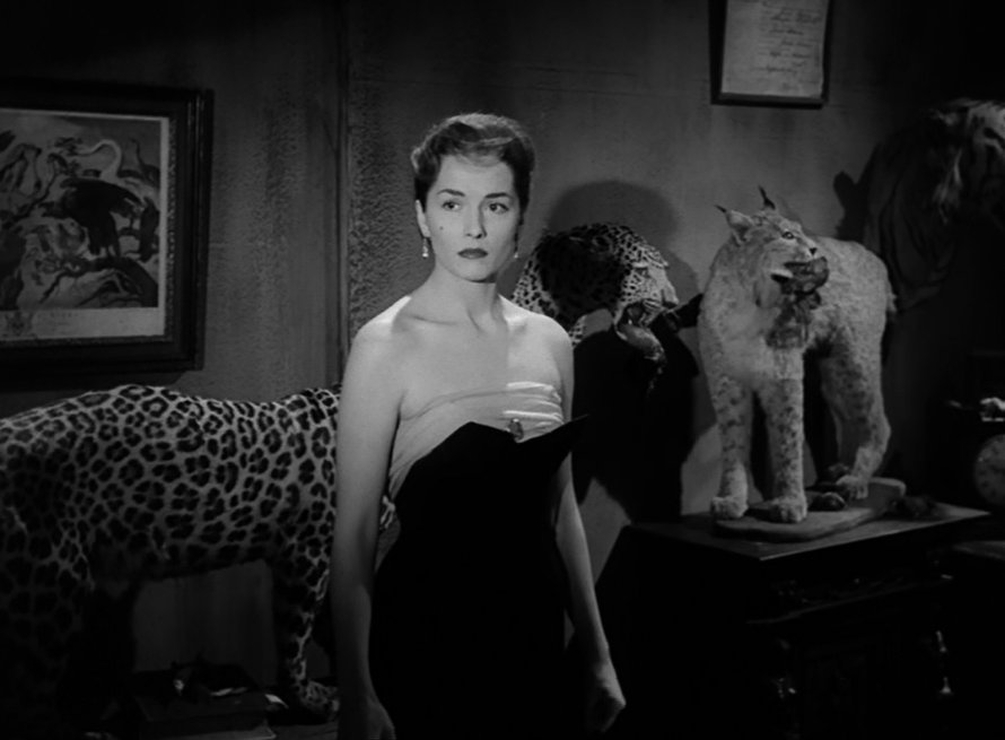 Picture of Barbara Shelley